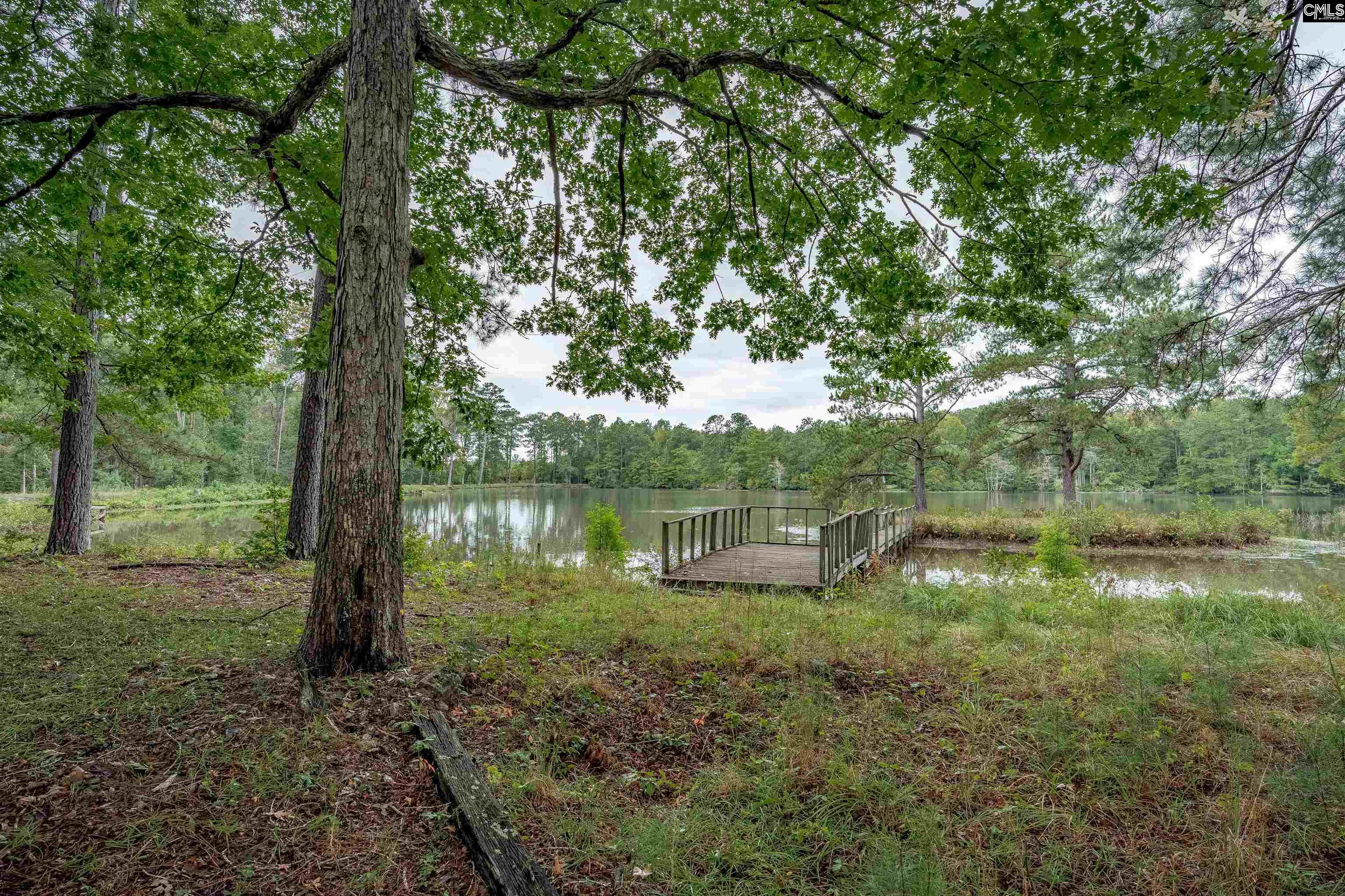 248 Killian Road, Columbia — photo 13