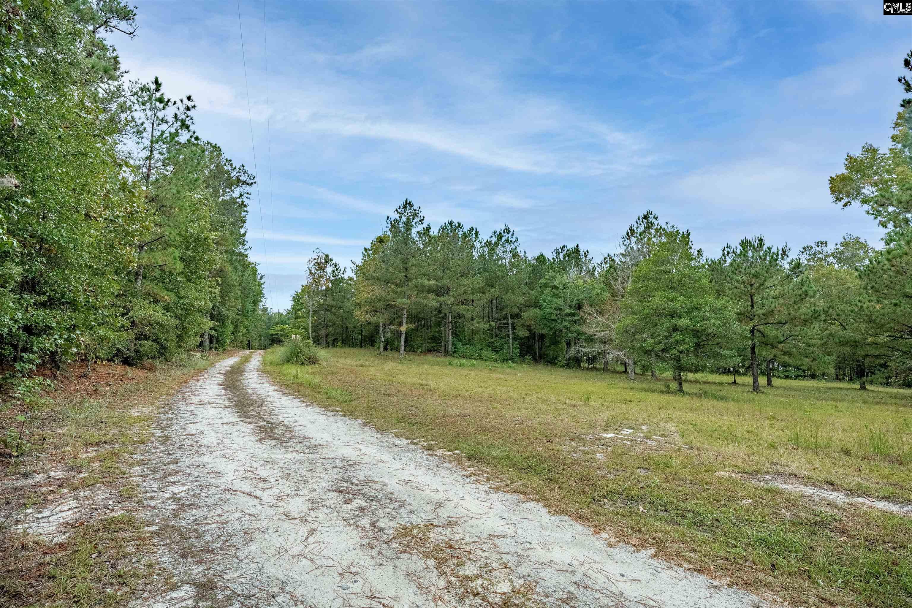 248 Killian Road, Columbia — photo 22