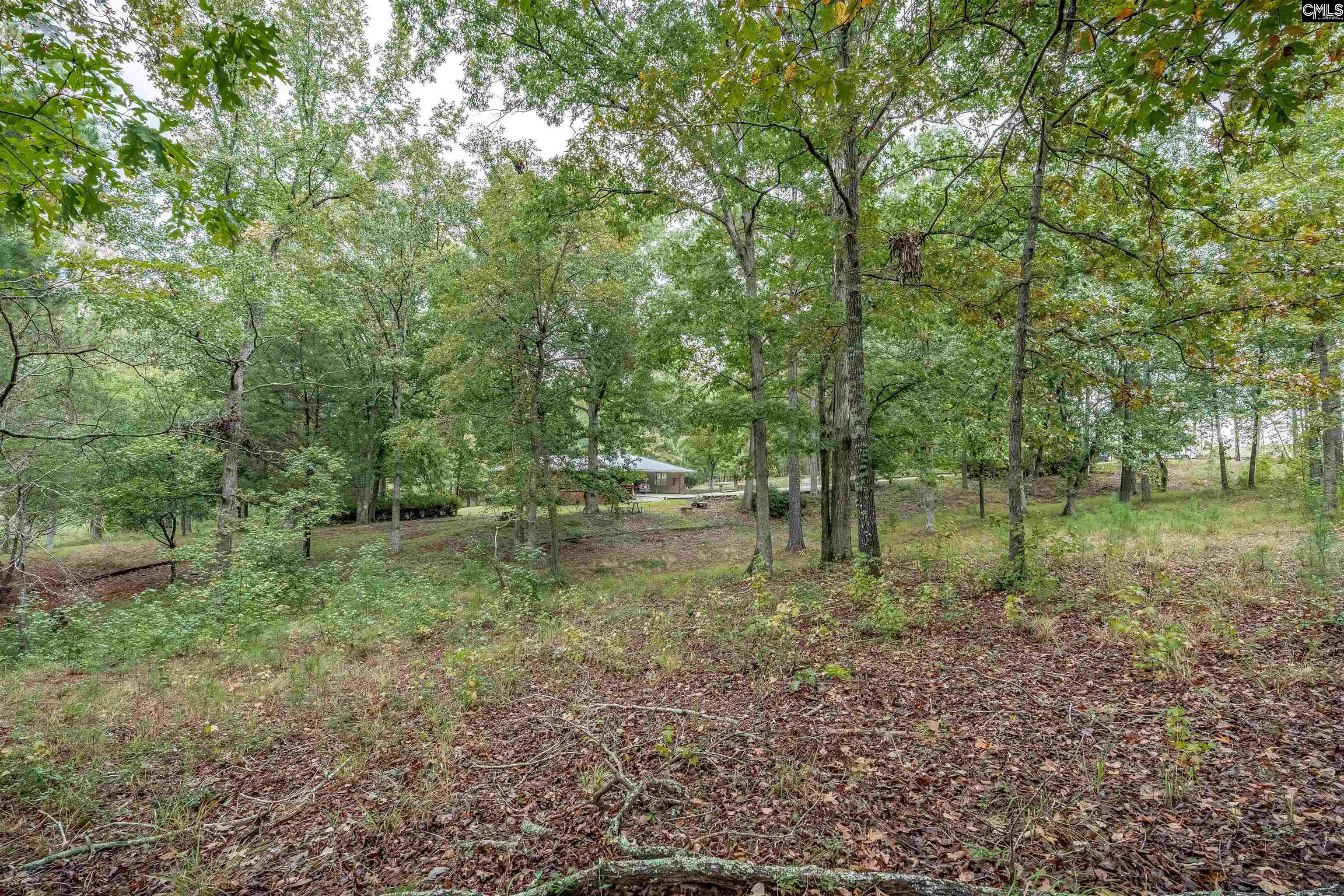 248 Killian Road, Columbia — photo 75