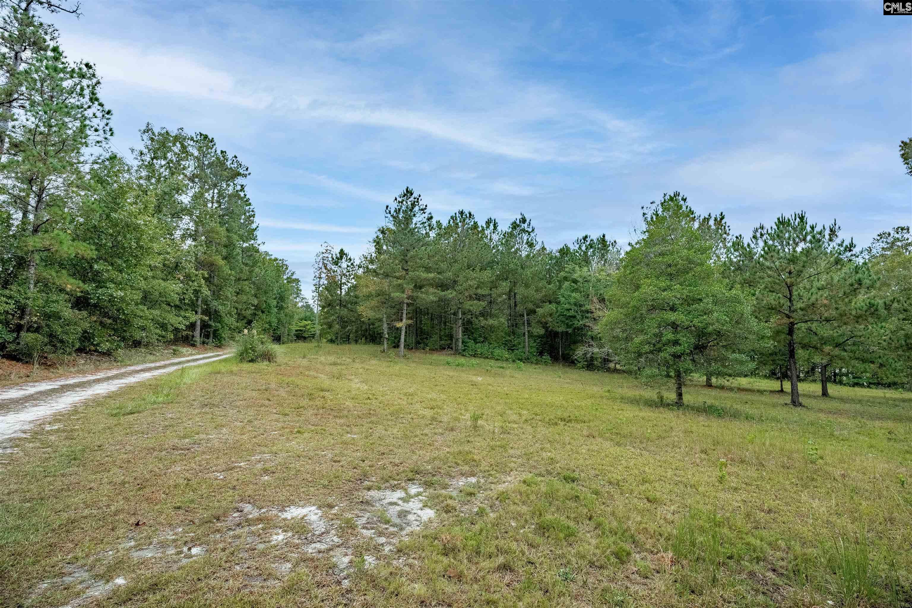 248 Killian Road, Columbia — photo 79