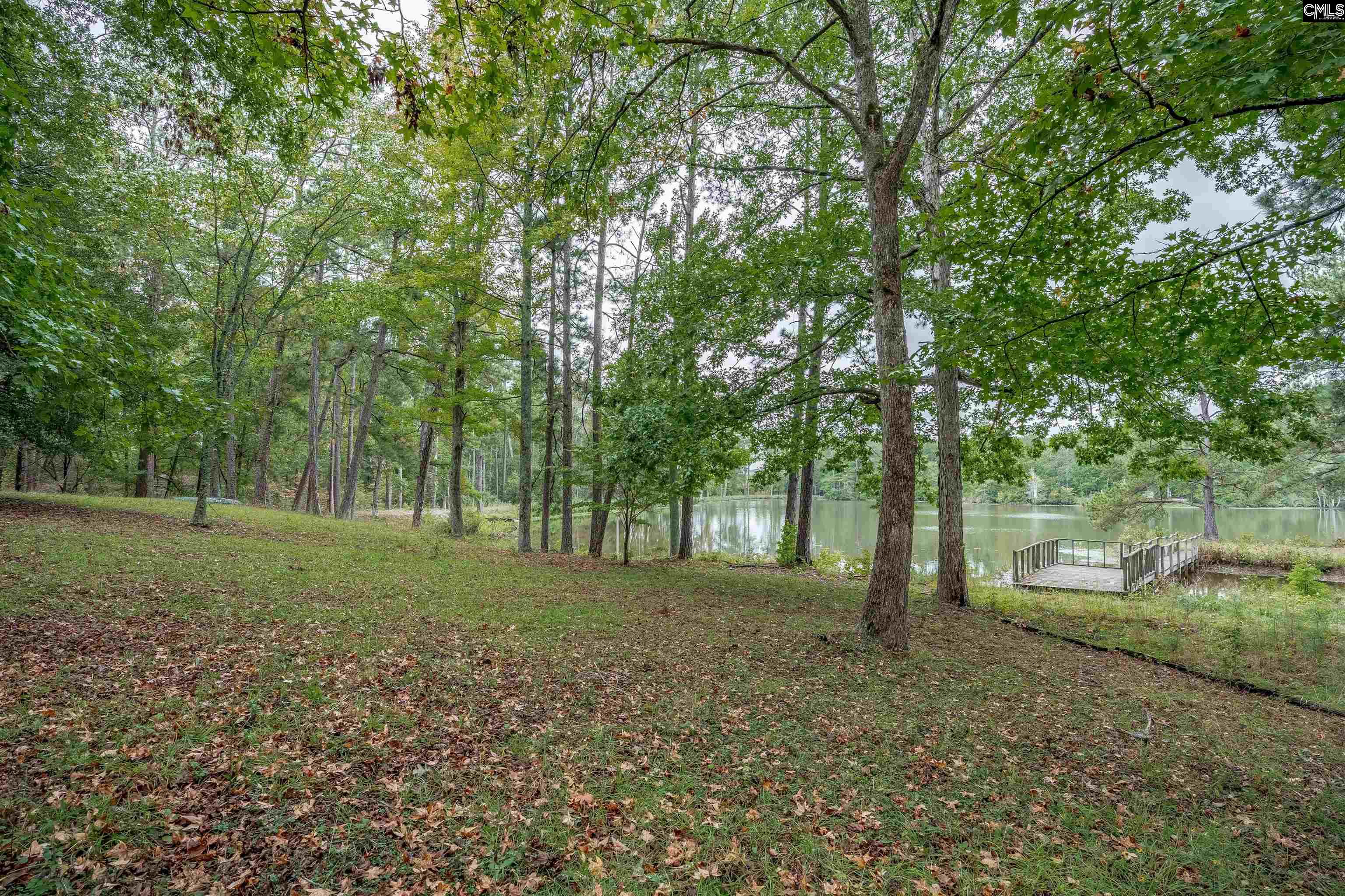 248 Killian Road, Columbia — photo 83