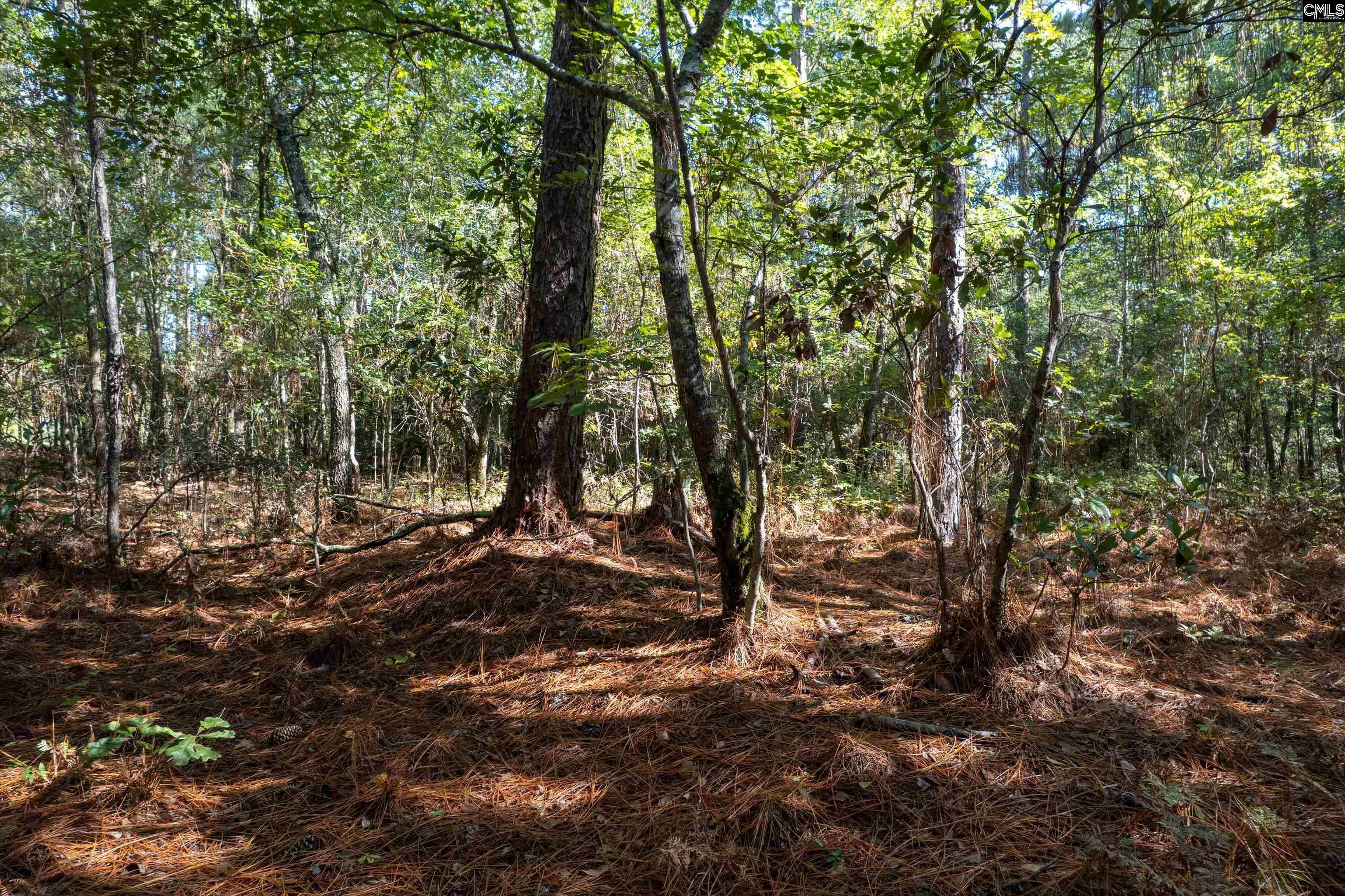 0000 Steele Road, West Columbia — photo 7