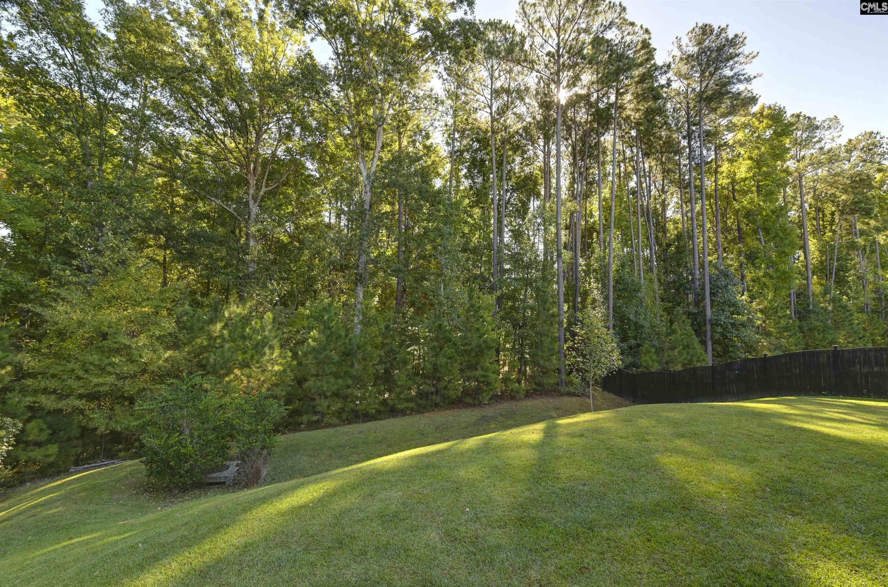 238 Wading Bird Loop, Blythewood — photo 53