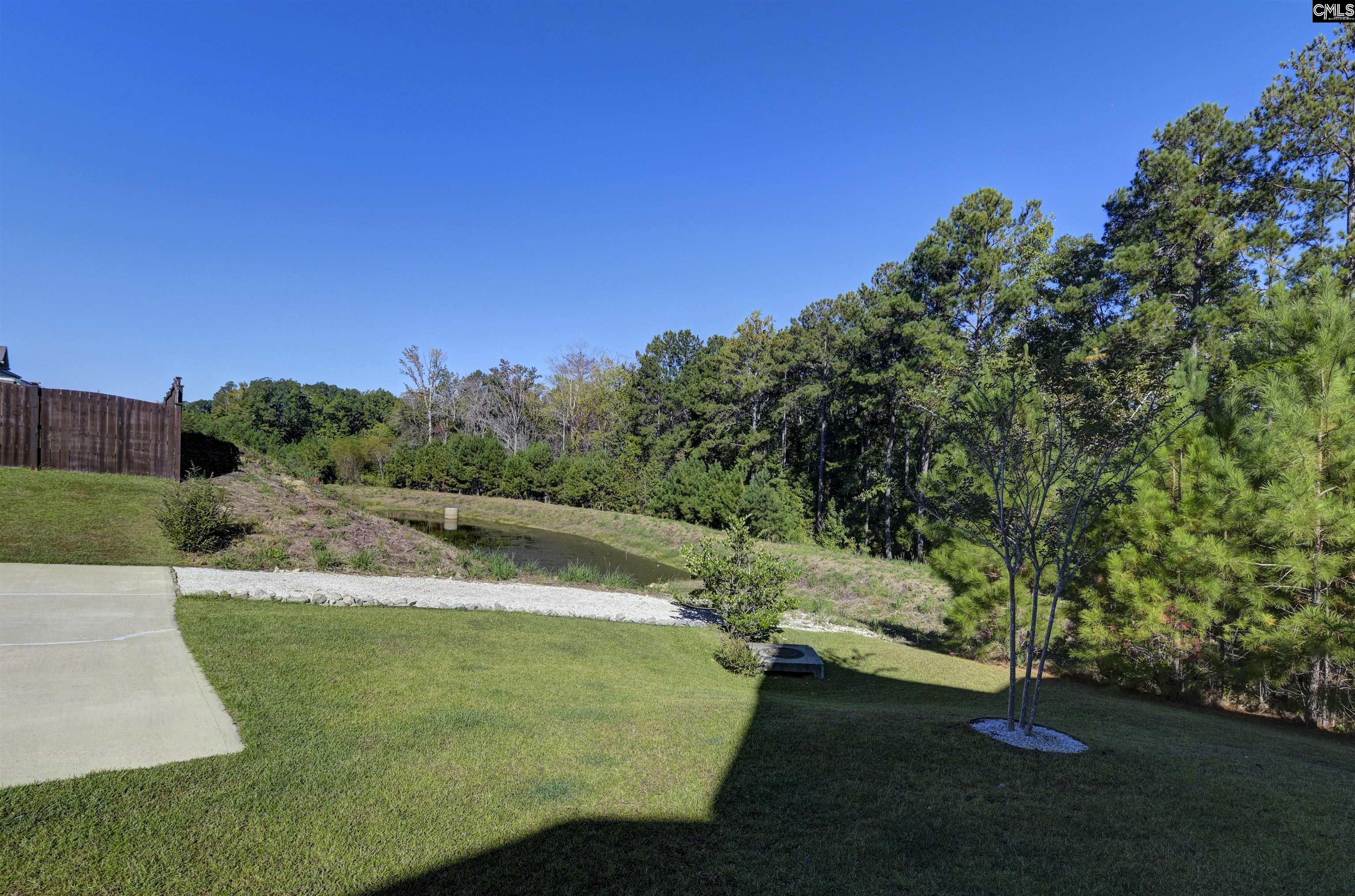 238 Wading Bird Loop, Blythewood — photo 59