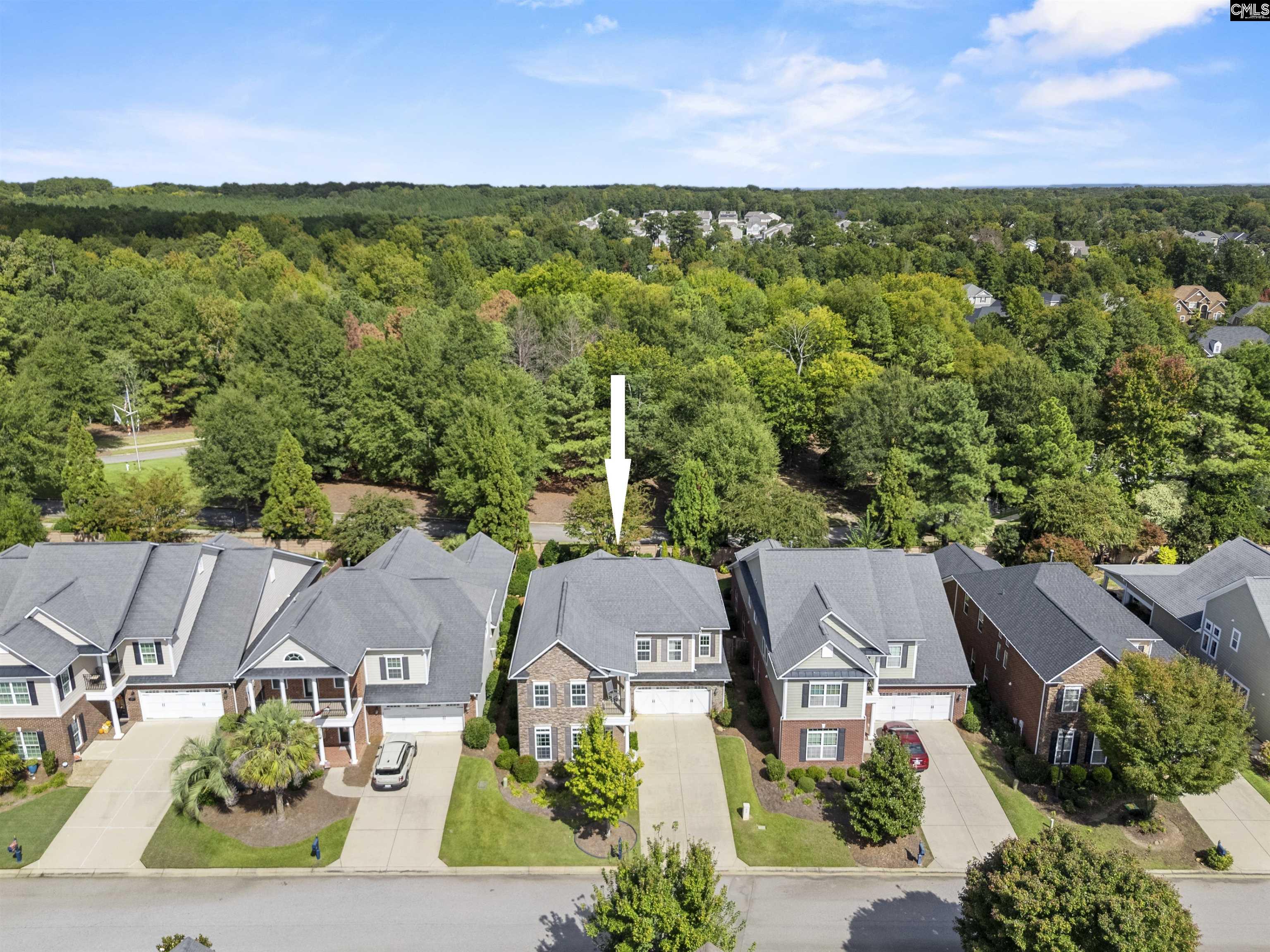 640 Kumatage Lane, Chapin — photo 5