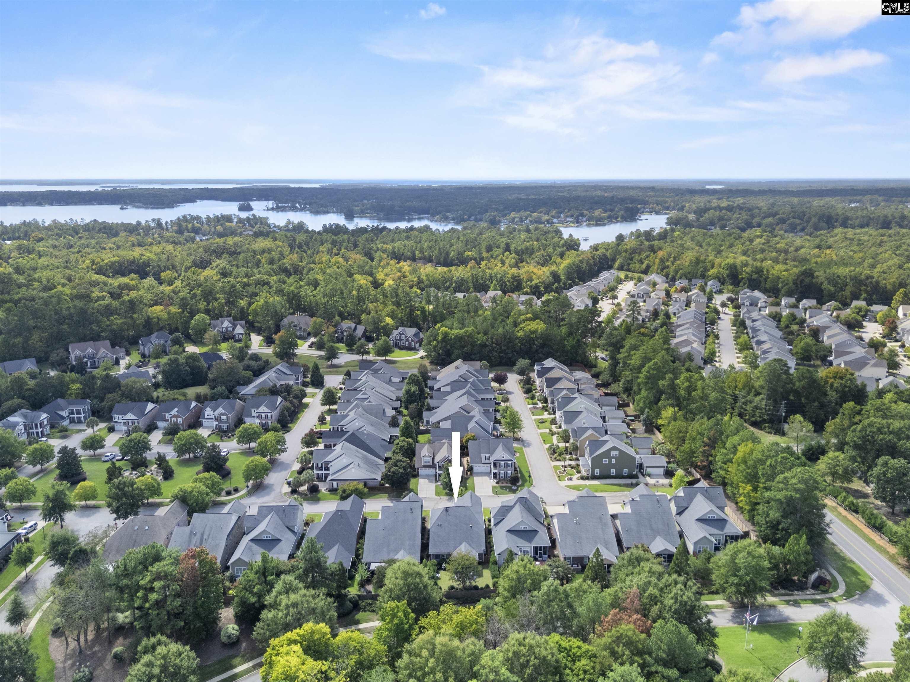 640 Kumatage Lane, Chapin — photo 59