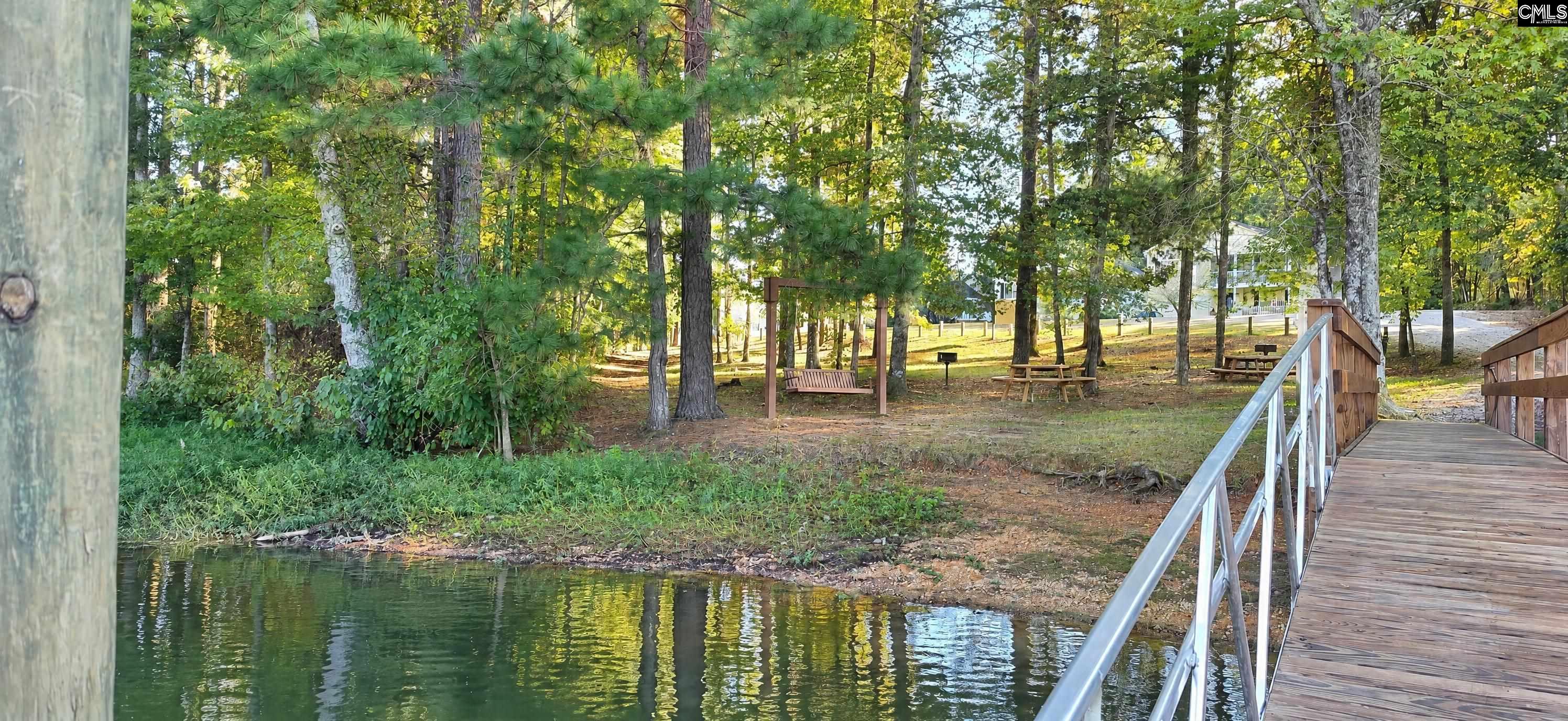 132 Kerry Gibbons Drive, Chapin — photo 11