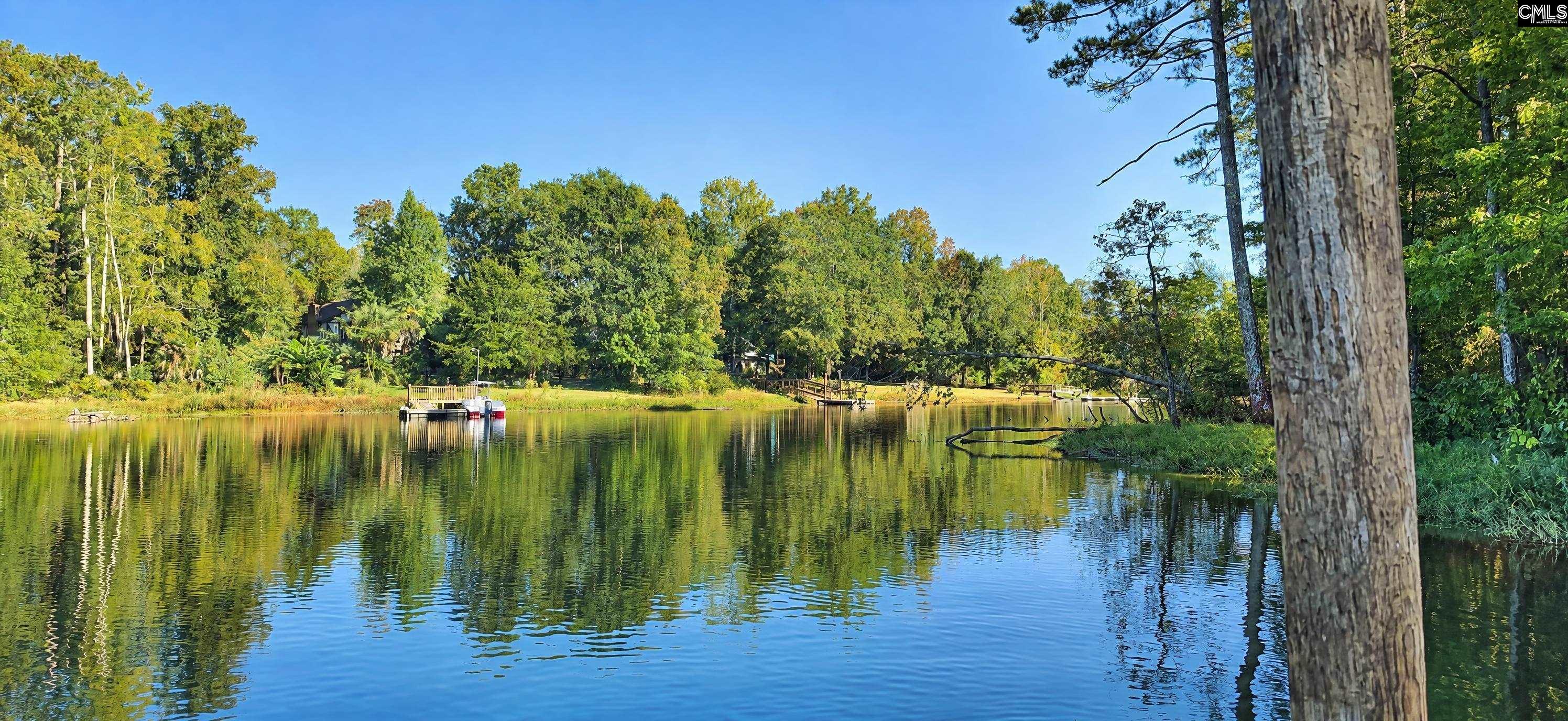 132 Kerry Gibbons Drive, Chapin — photo 9
