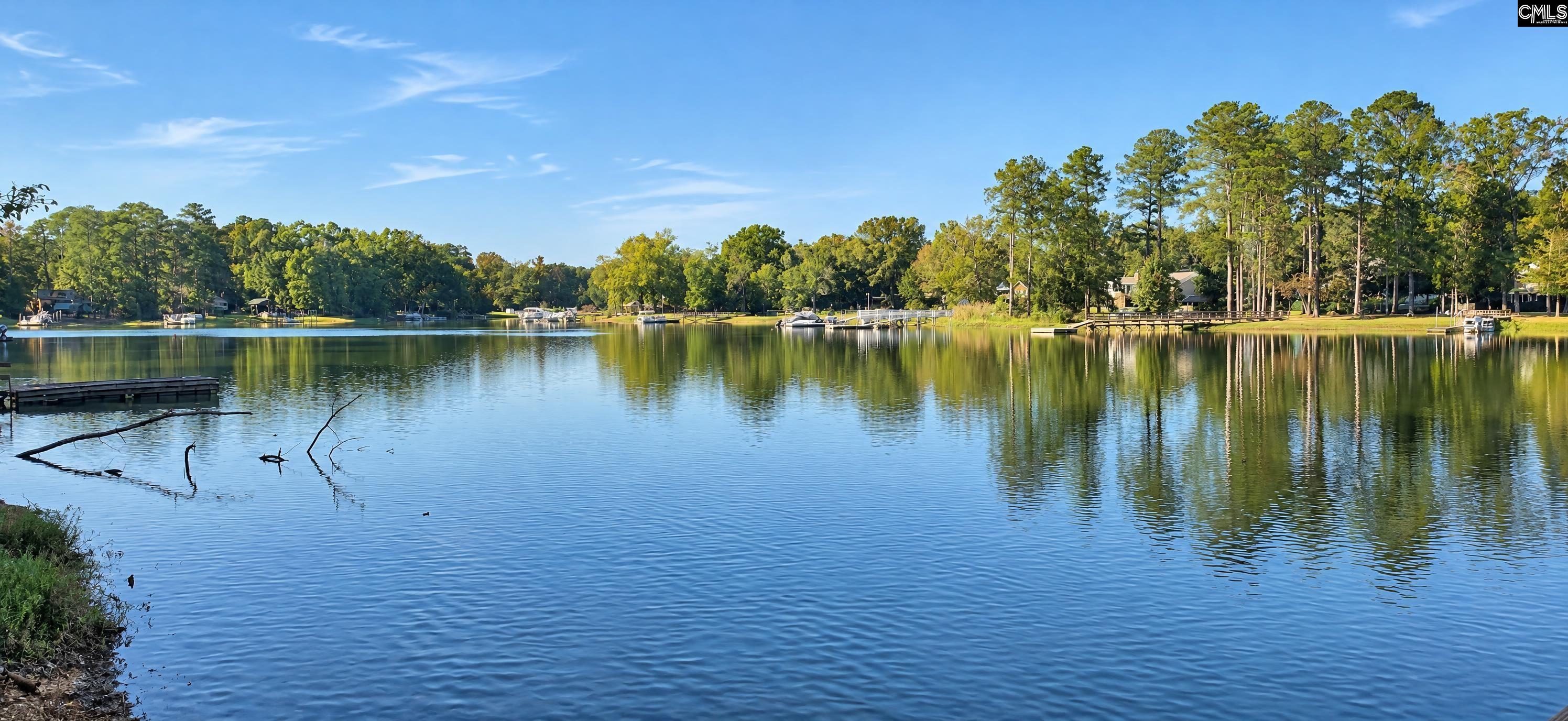 132 Kerry Gibbons Drive, Chapin — photo 10