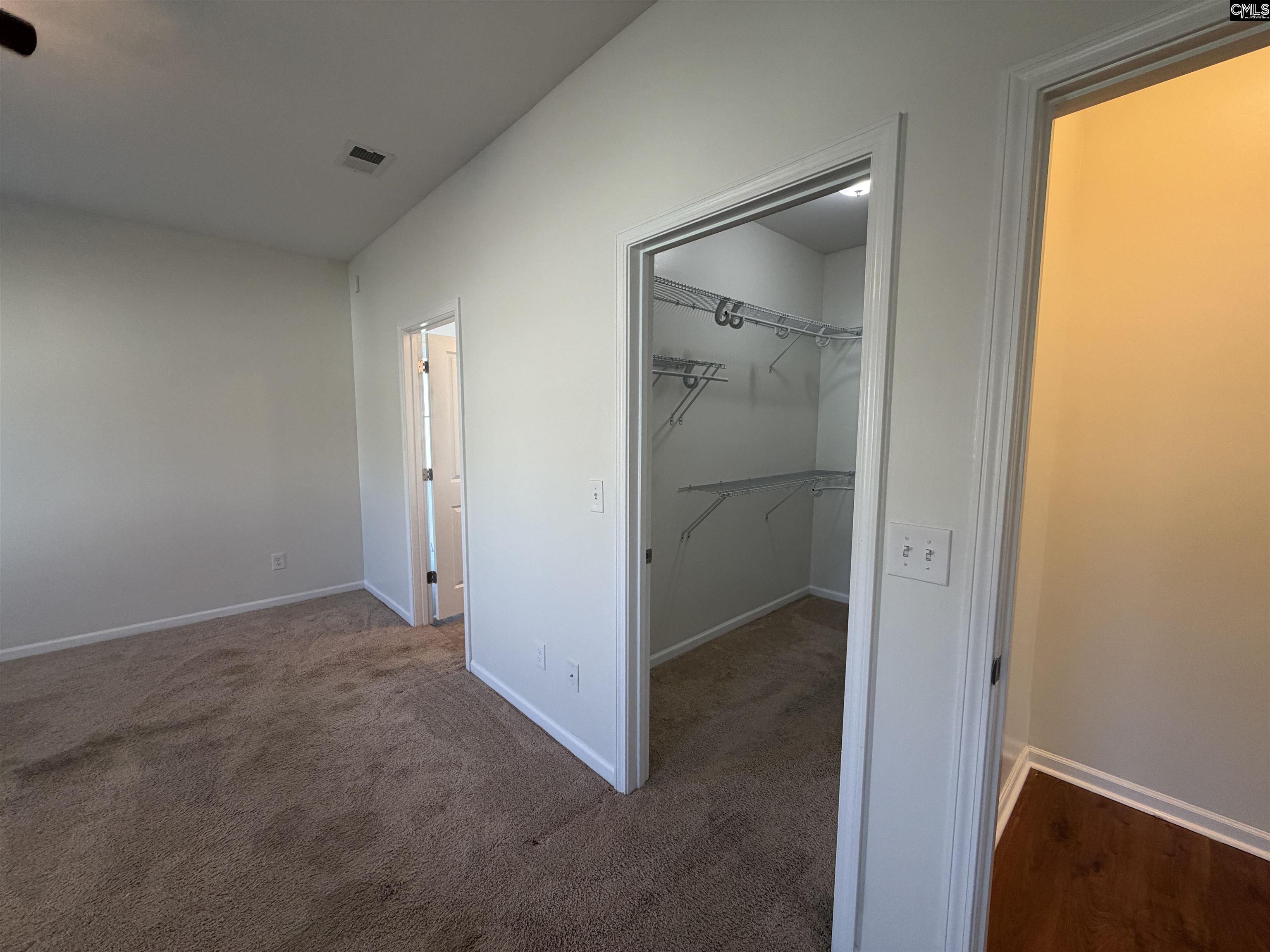 356 Massey Circle, Chapin — photo 19