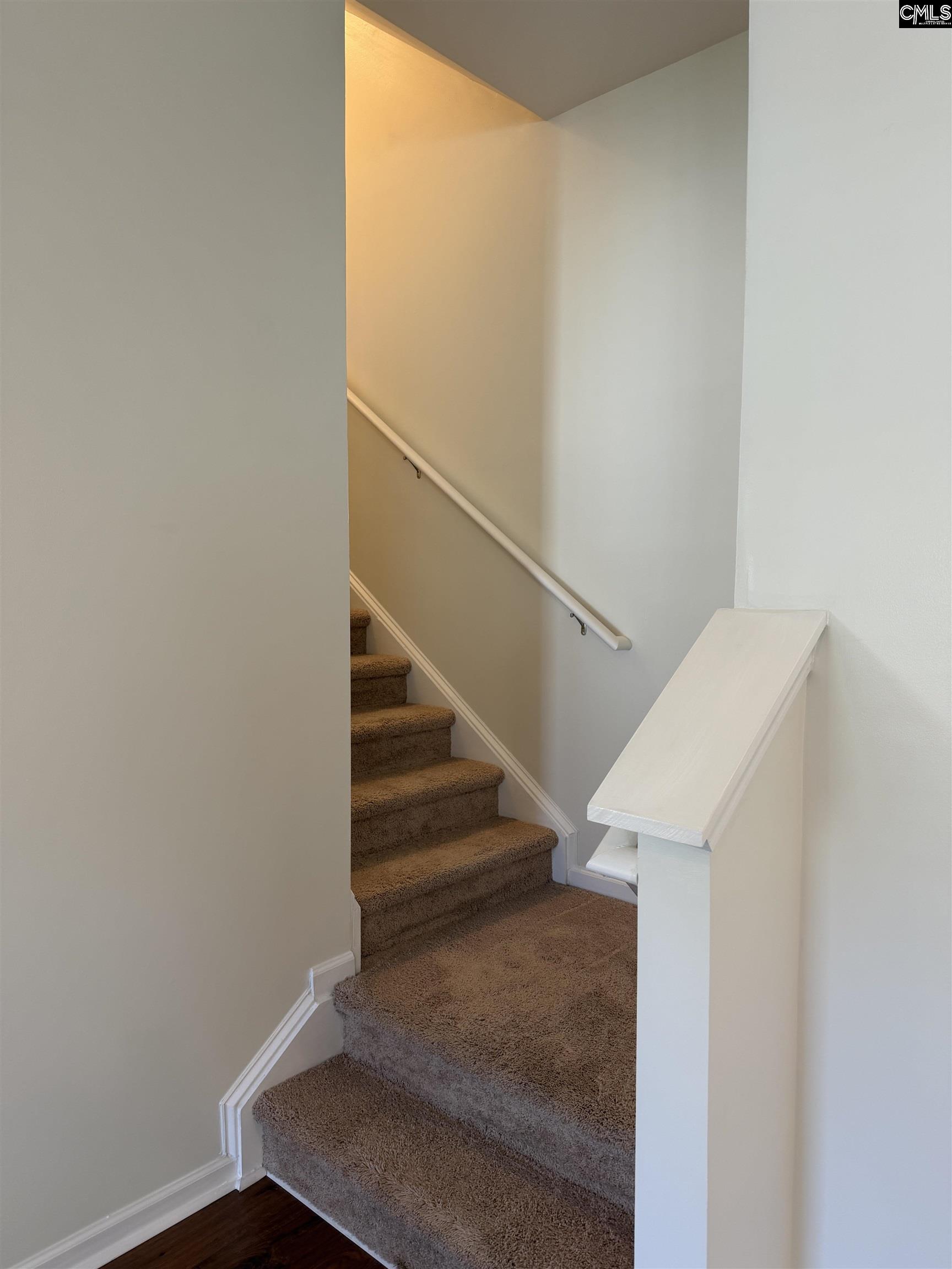 356 Massey Circle, Chapin — photo 22