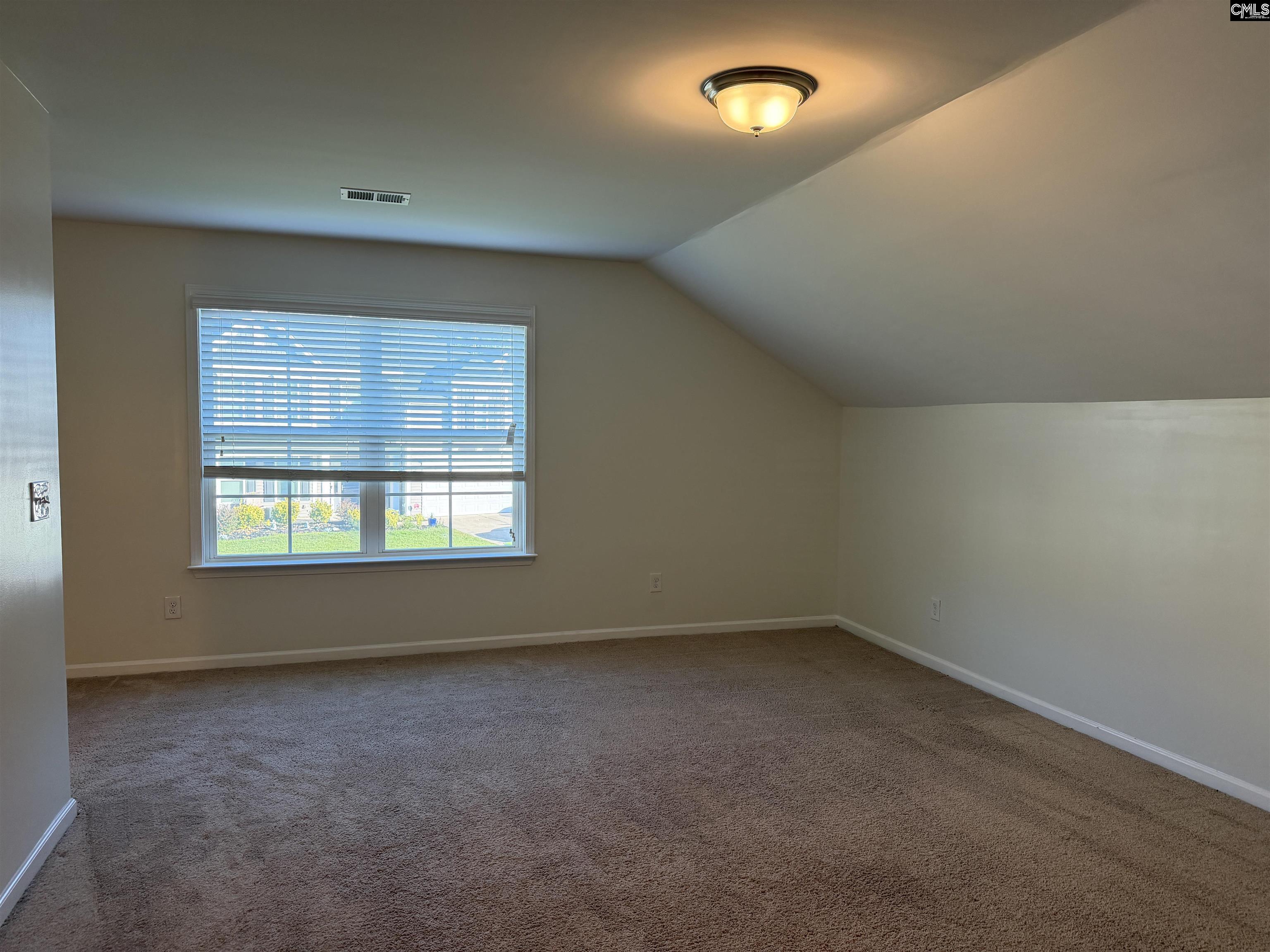 356 Massey Circle, Chapin — photo 25