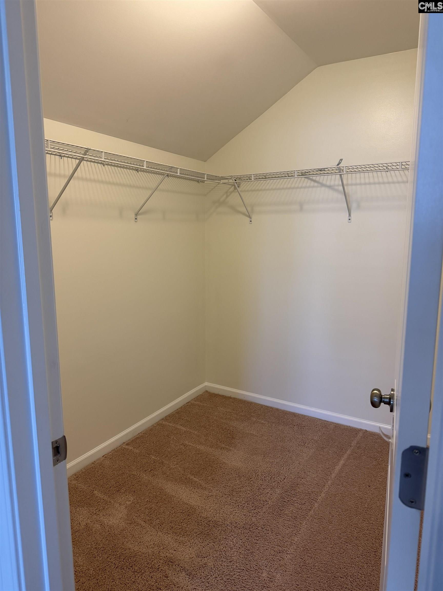 356 Massey Circle, Chapin — photo 27