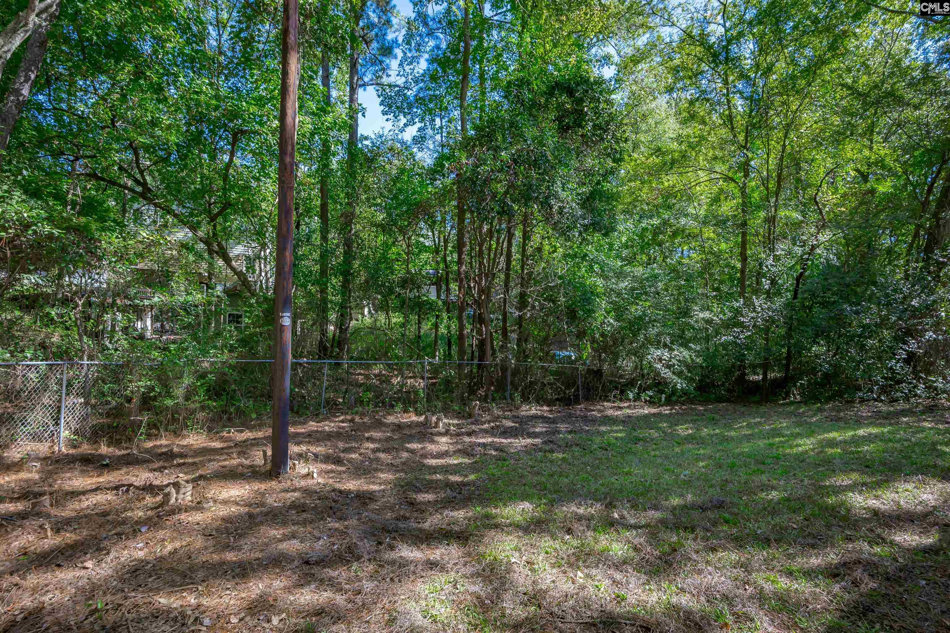 916 Swan Lane, Columbia — photo 11