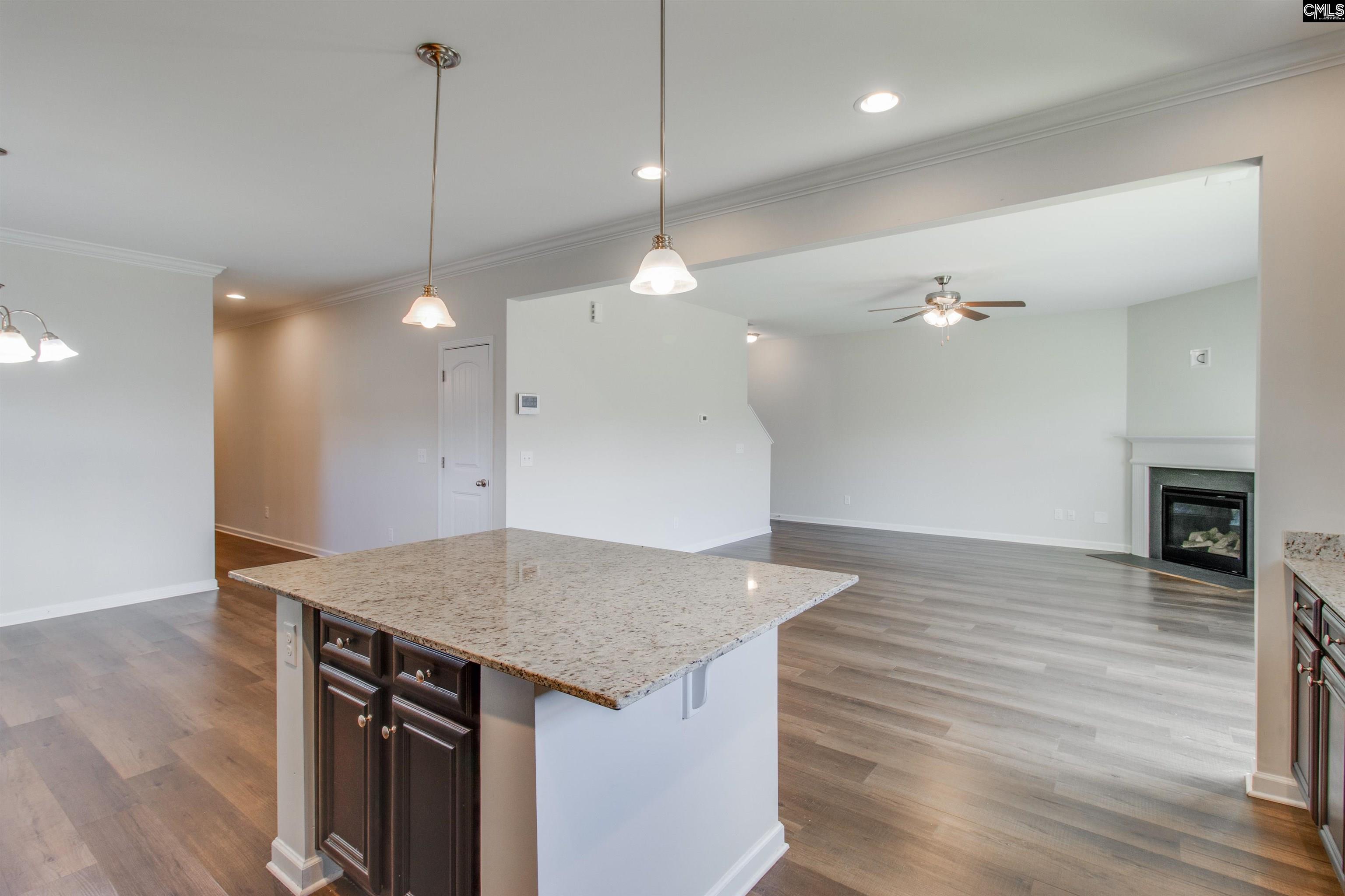 441 N Cobia Court, Irmo — photo 10