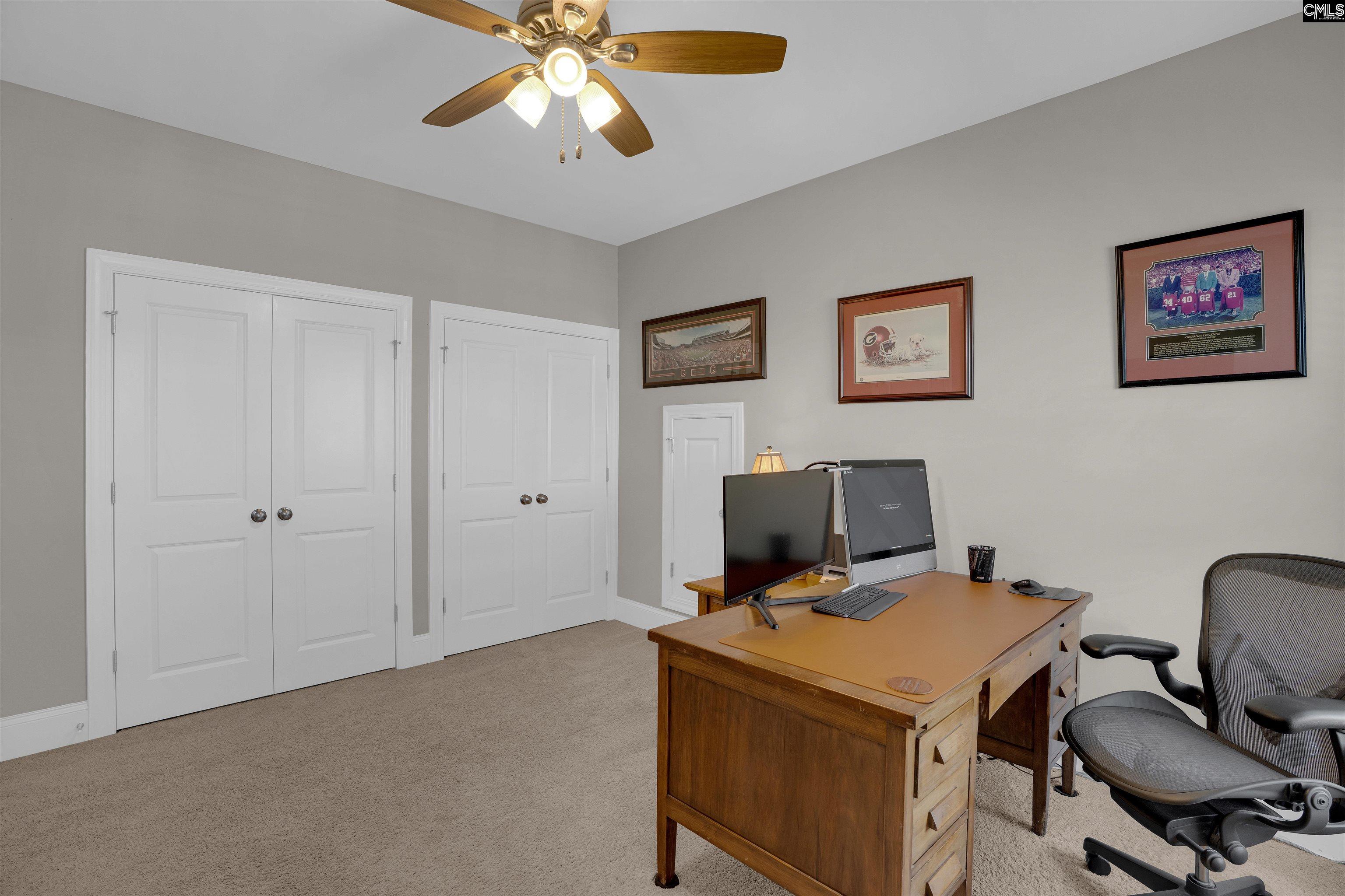 70 Wynterhall Court, Chapin — photo 47