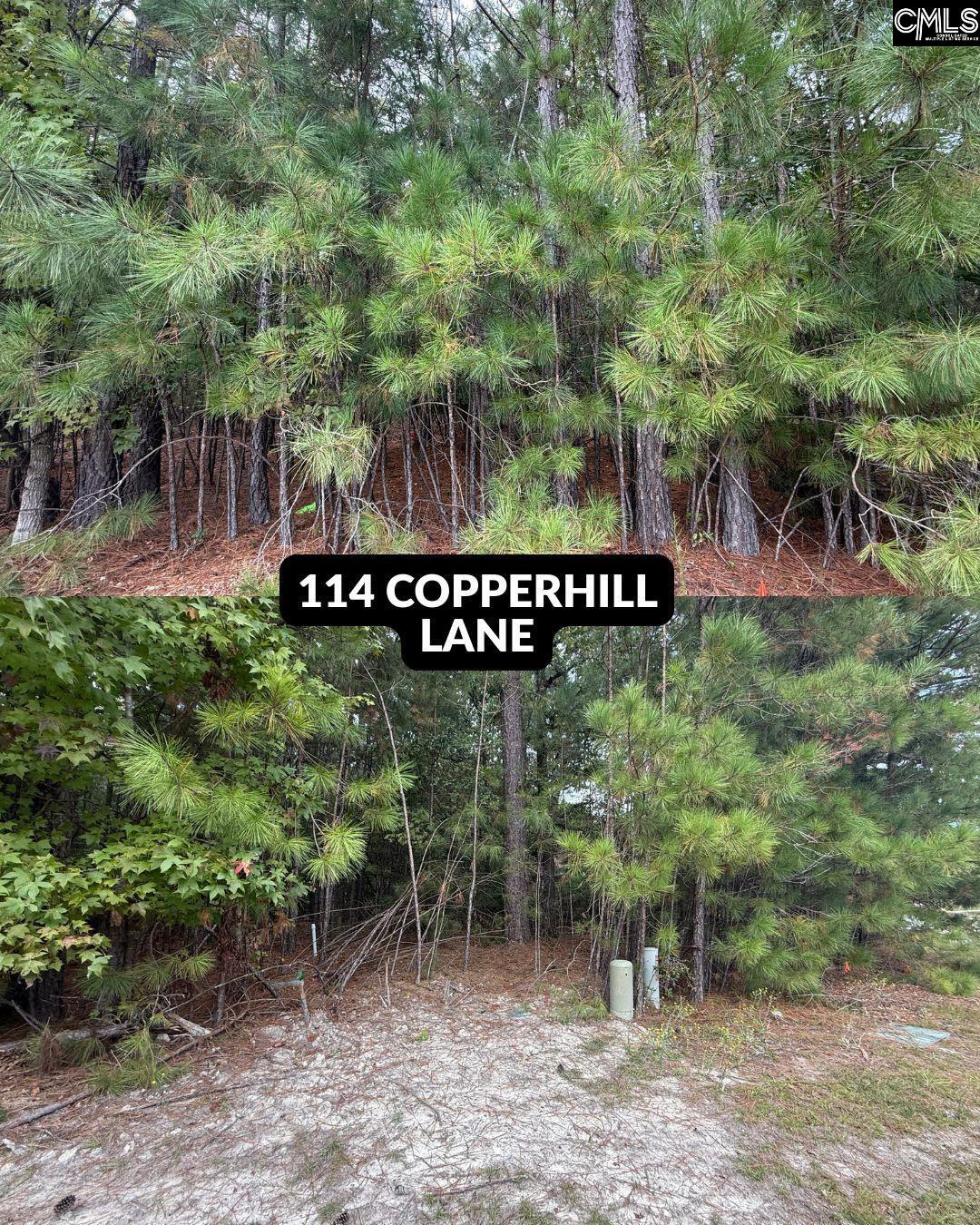 514 Rose Creek Lane, Columbia — photo 6