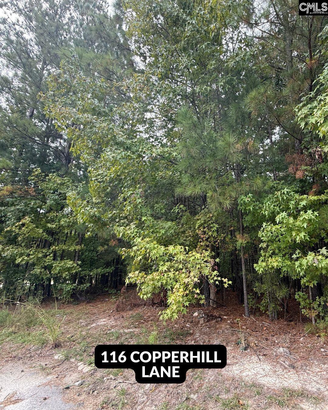 514 Rose Creek Lane, Columbia — photo 7