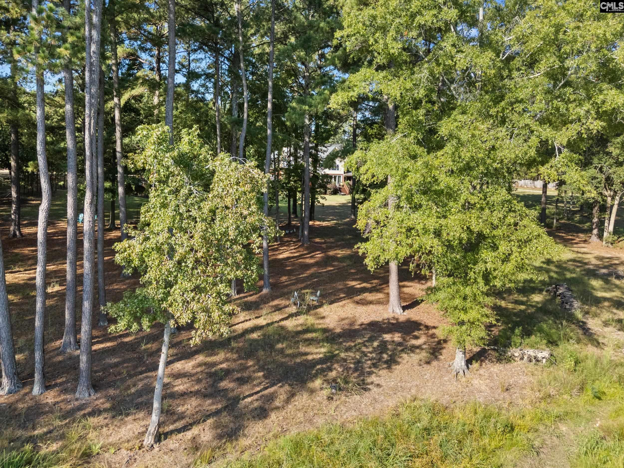 438 Peninsula Drive, Prosperity — photo 47