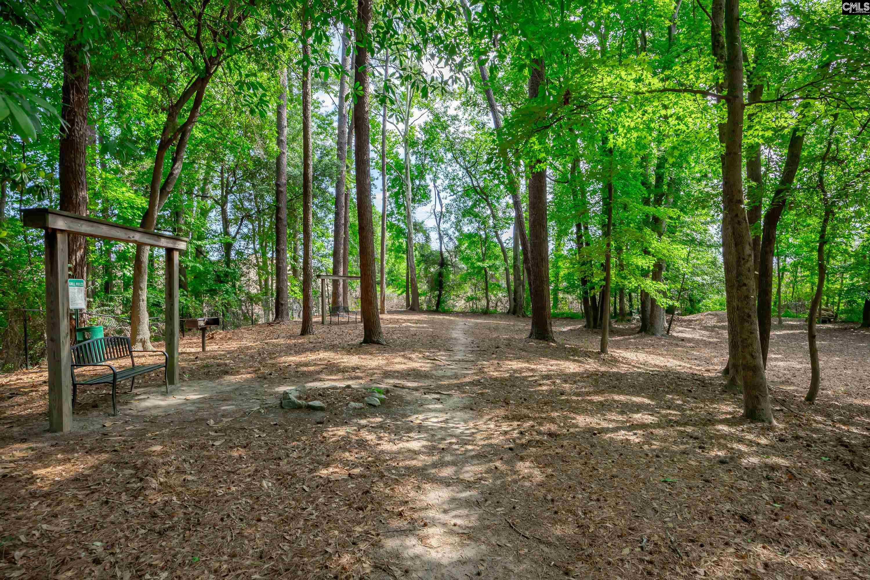 164 Top Forest Drive, Columbia — photo 45