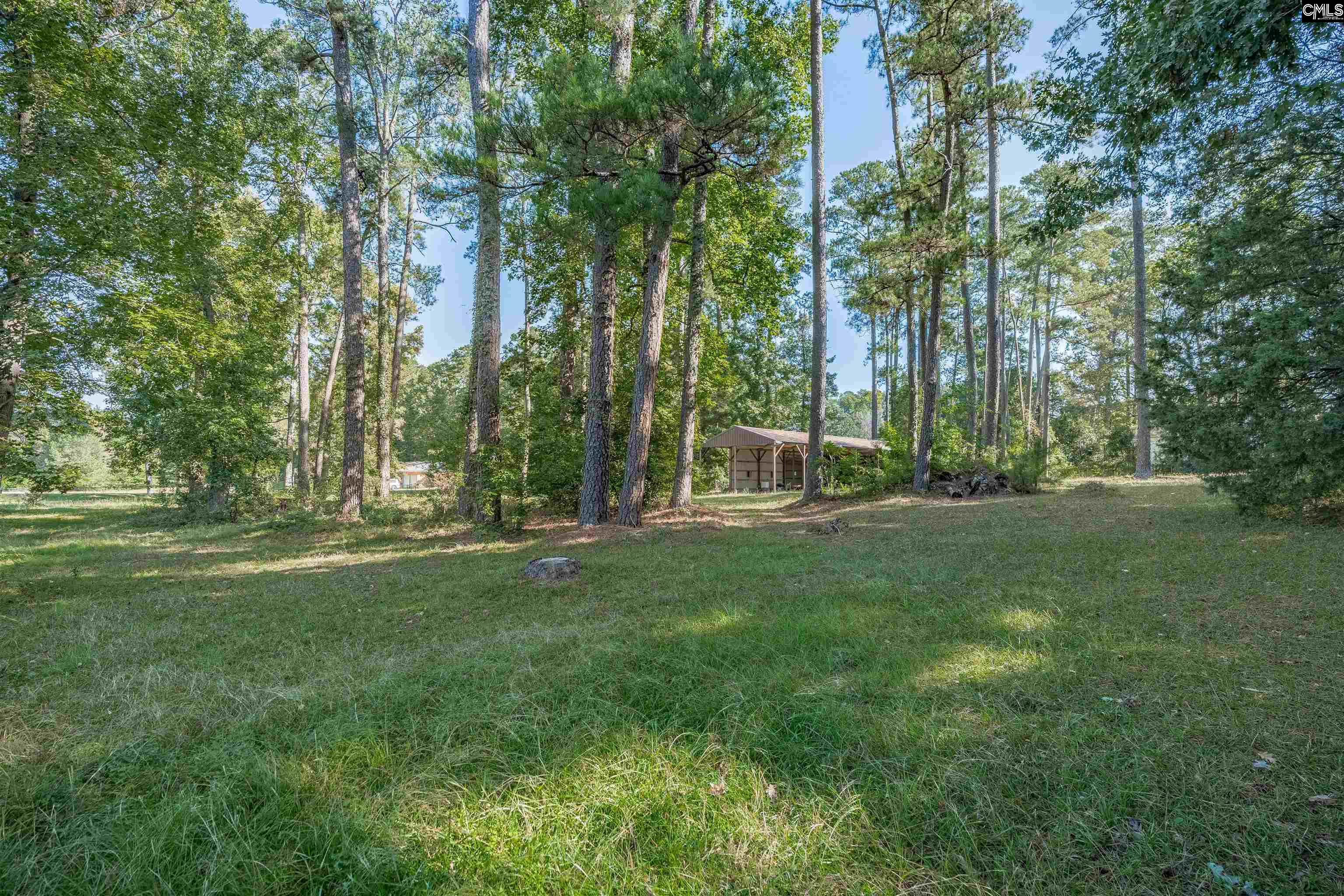 117 Pinecrest Avenue, West Columbia — photo 23