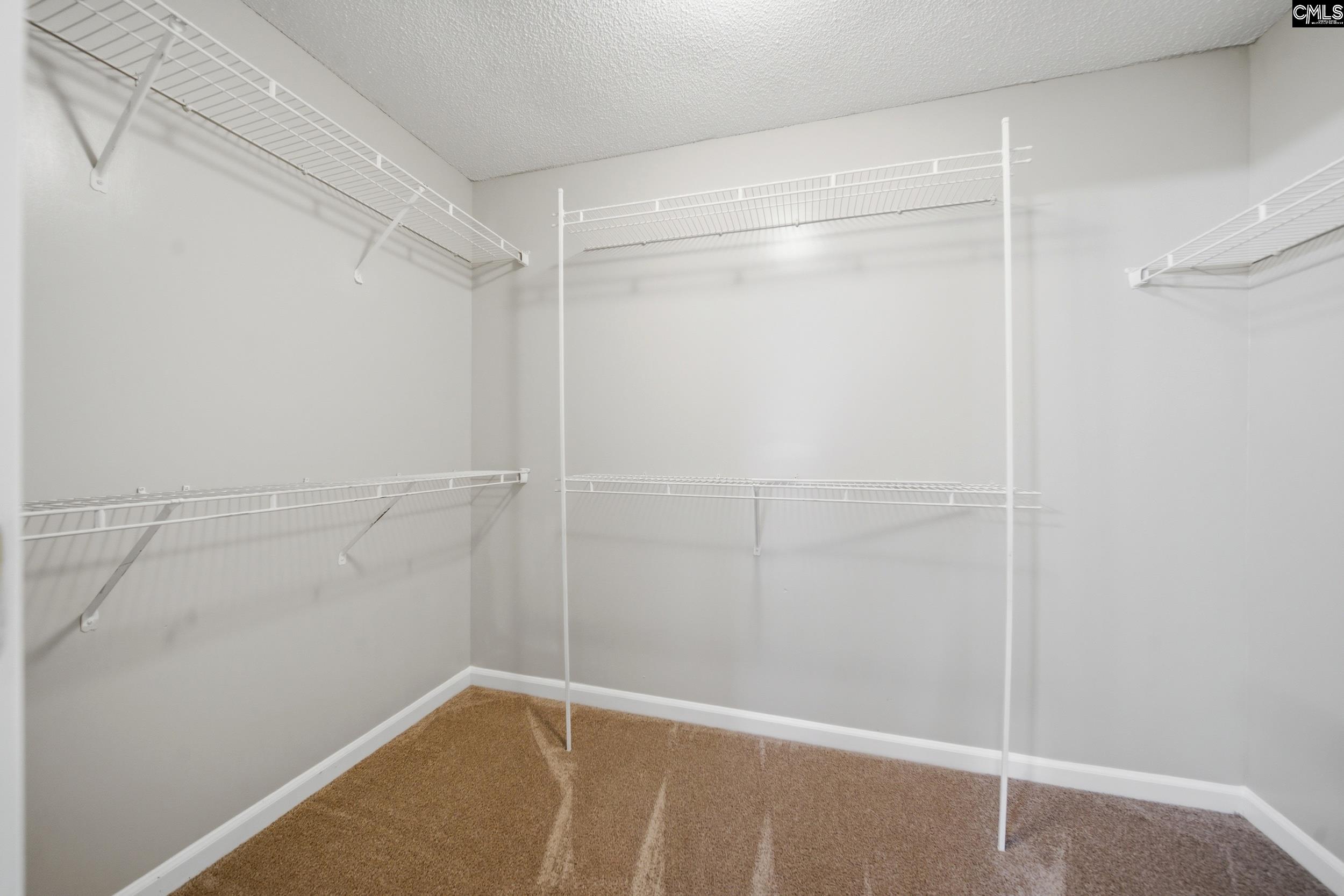 305 Cutter Court, Chapin — photo 23