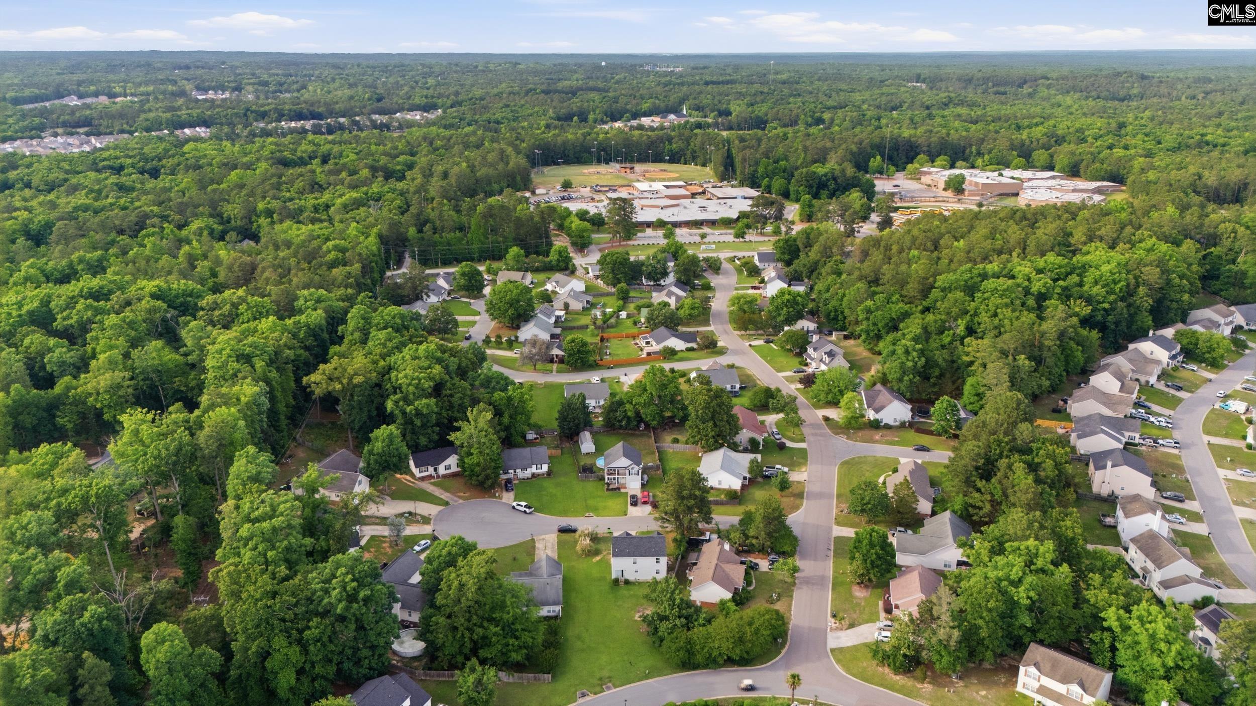 305 Cutter Court, Chapin — photo 38