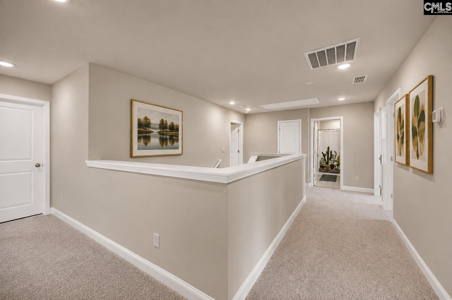 149 Monroe Preserve Drive, Chapin — photo 20