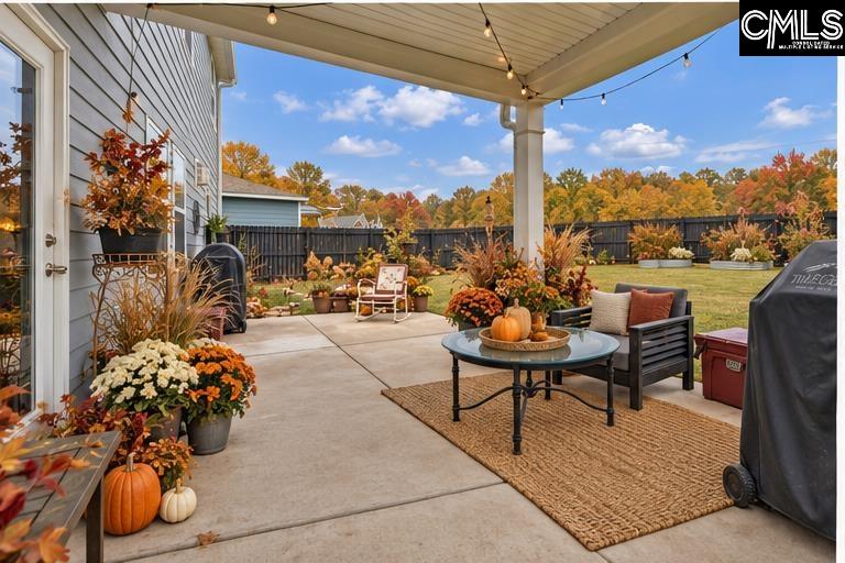 149 Monroe Preserve Drive, Chapin — photo 3