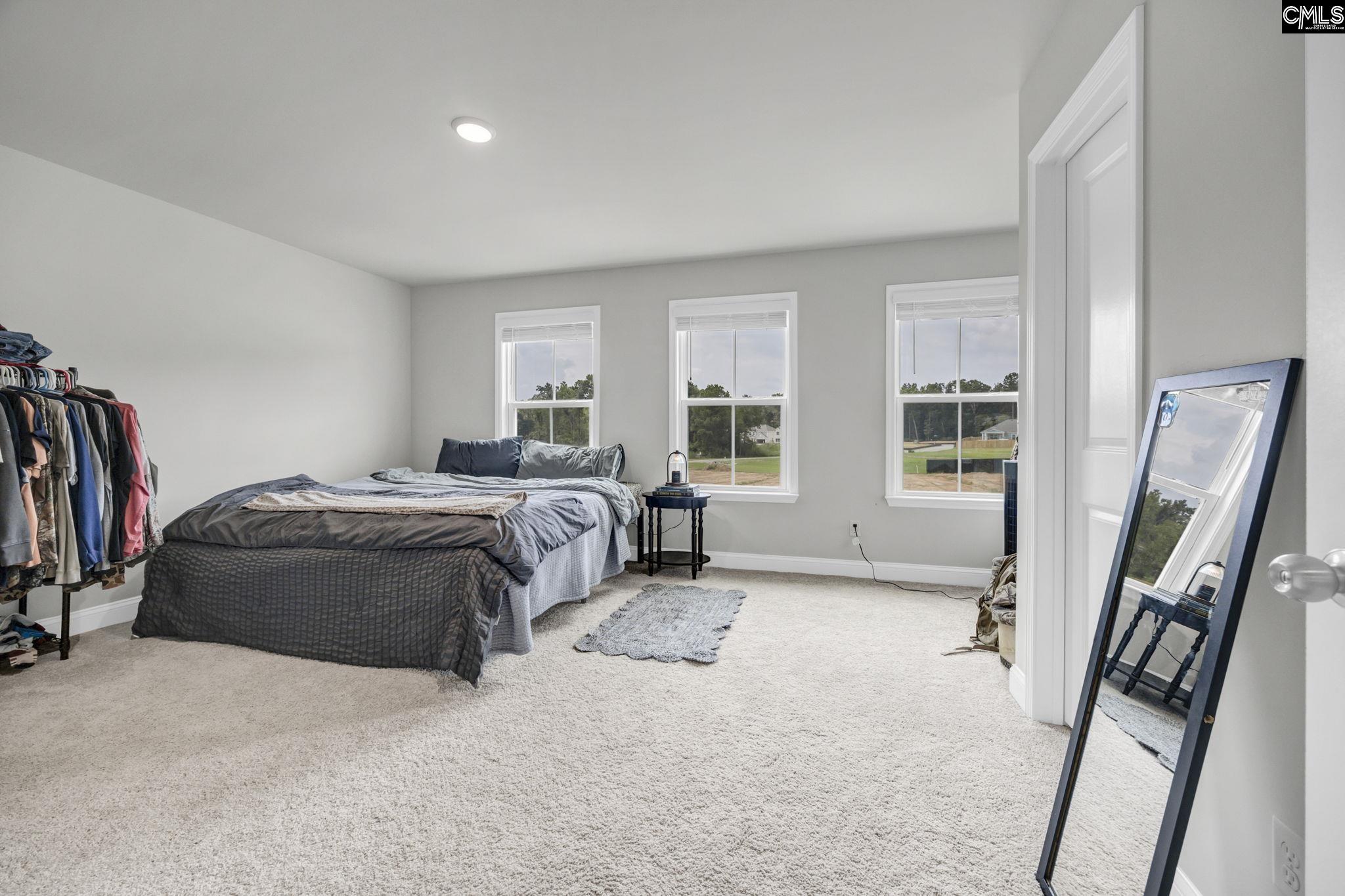 149 Monroe Preserve Drive, Chapin — photo 30