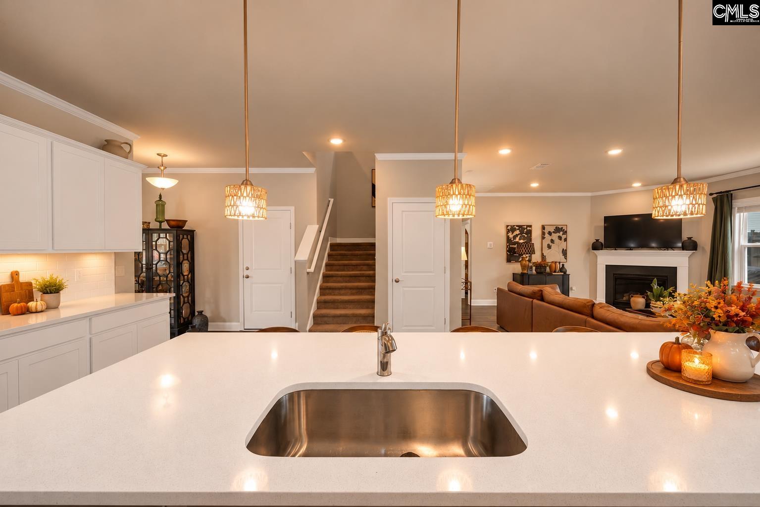 149 Monroe Preserve Drive, Chapin — photo 6