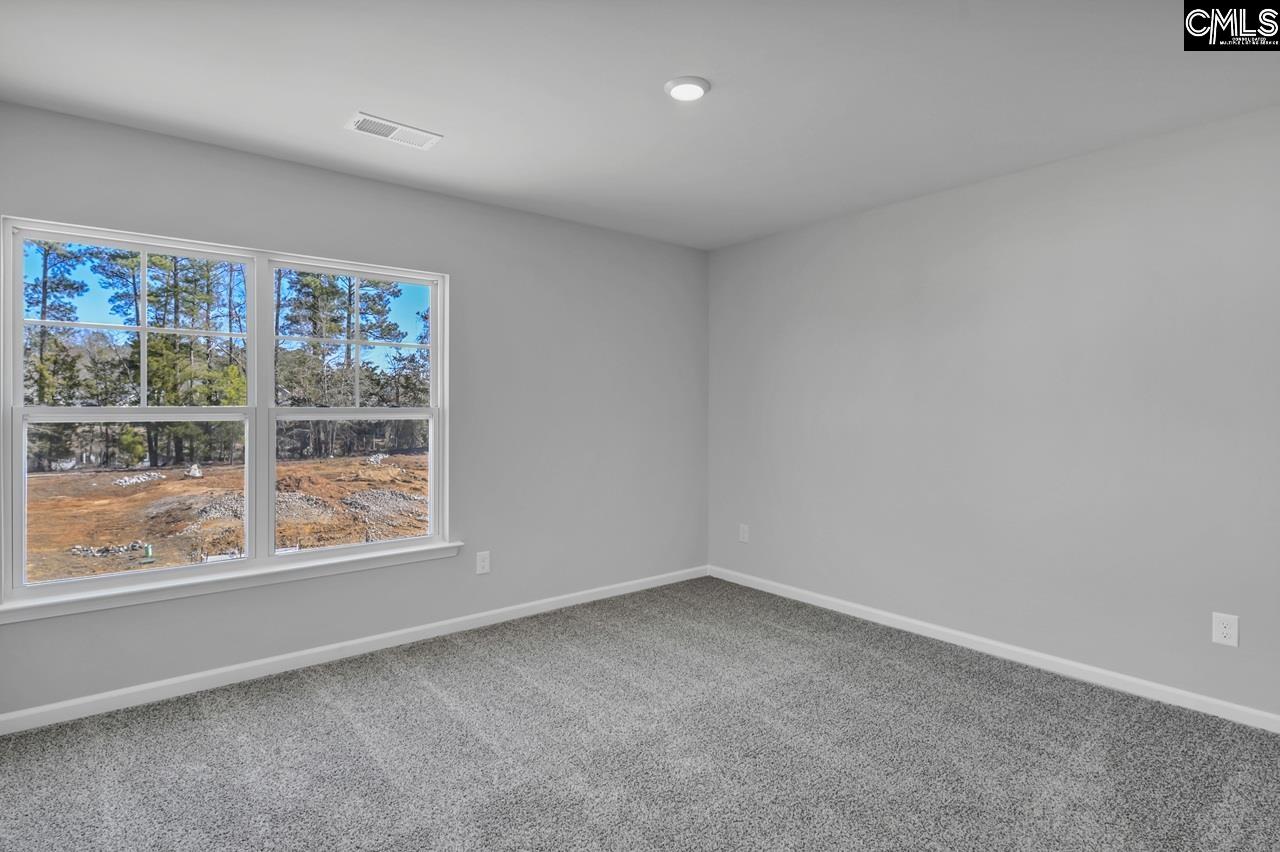 242 Boseman Road, Irmo — photo 26