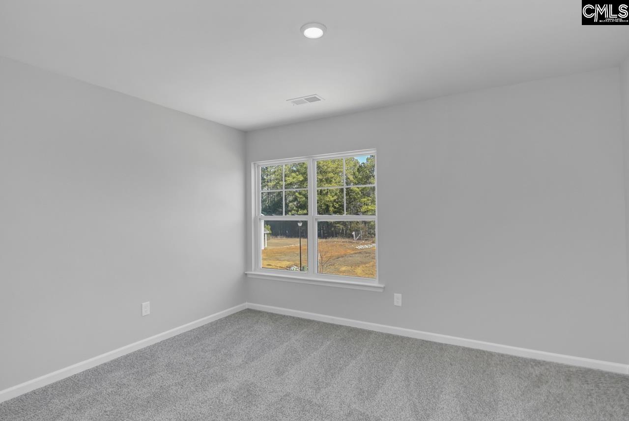 242 Boseman Road, Irmo — photo 27