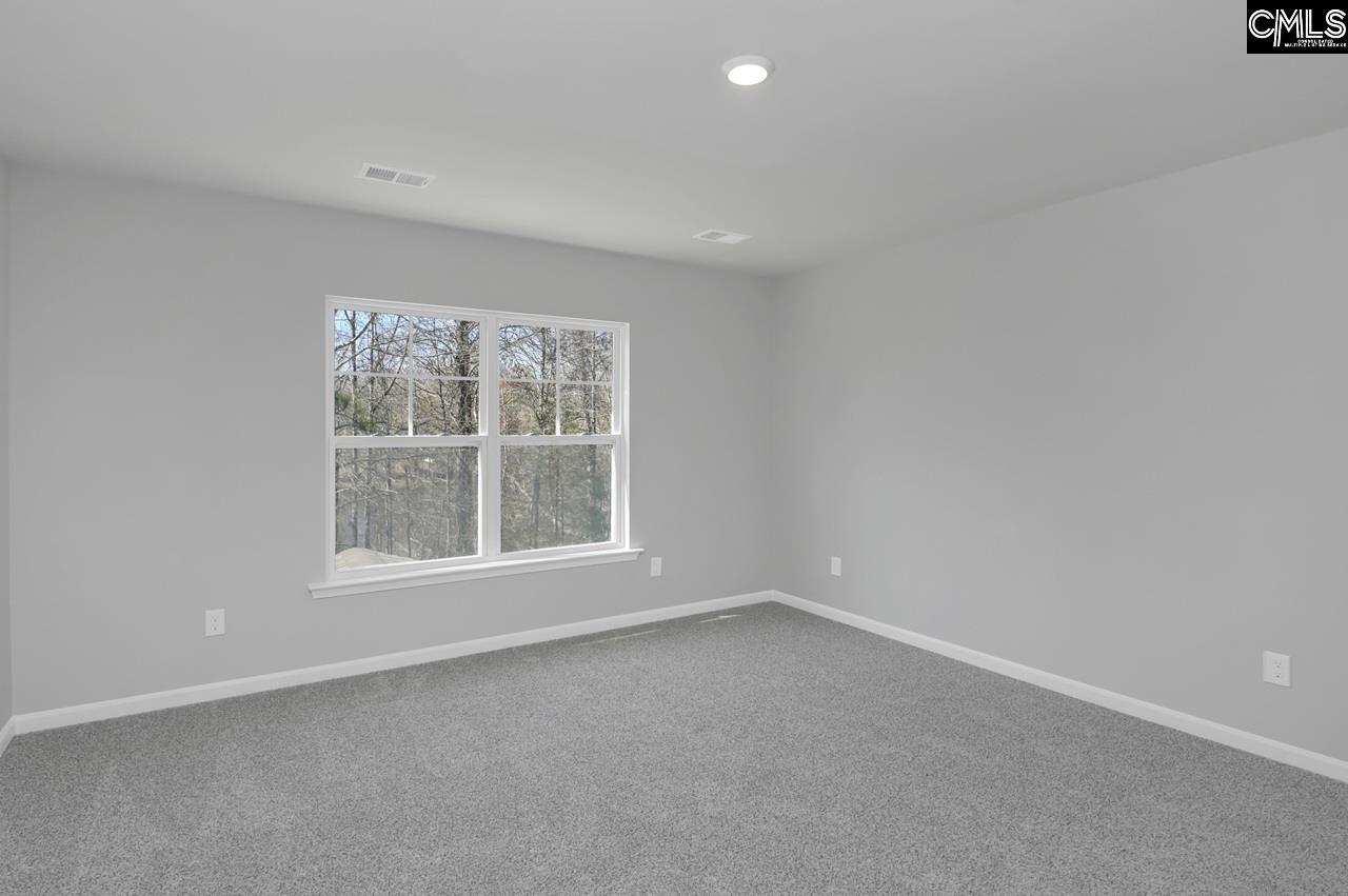 242 Boseman Road, Irmo — photo 29