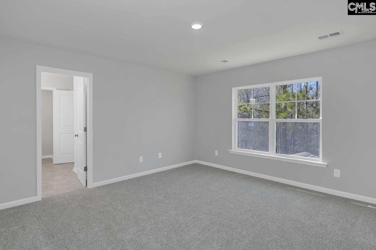 242 Boseman Road, Irmo — photo 30