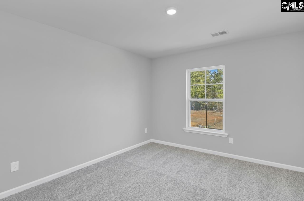 242 Boseman Road, Irmo — photo 36