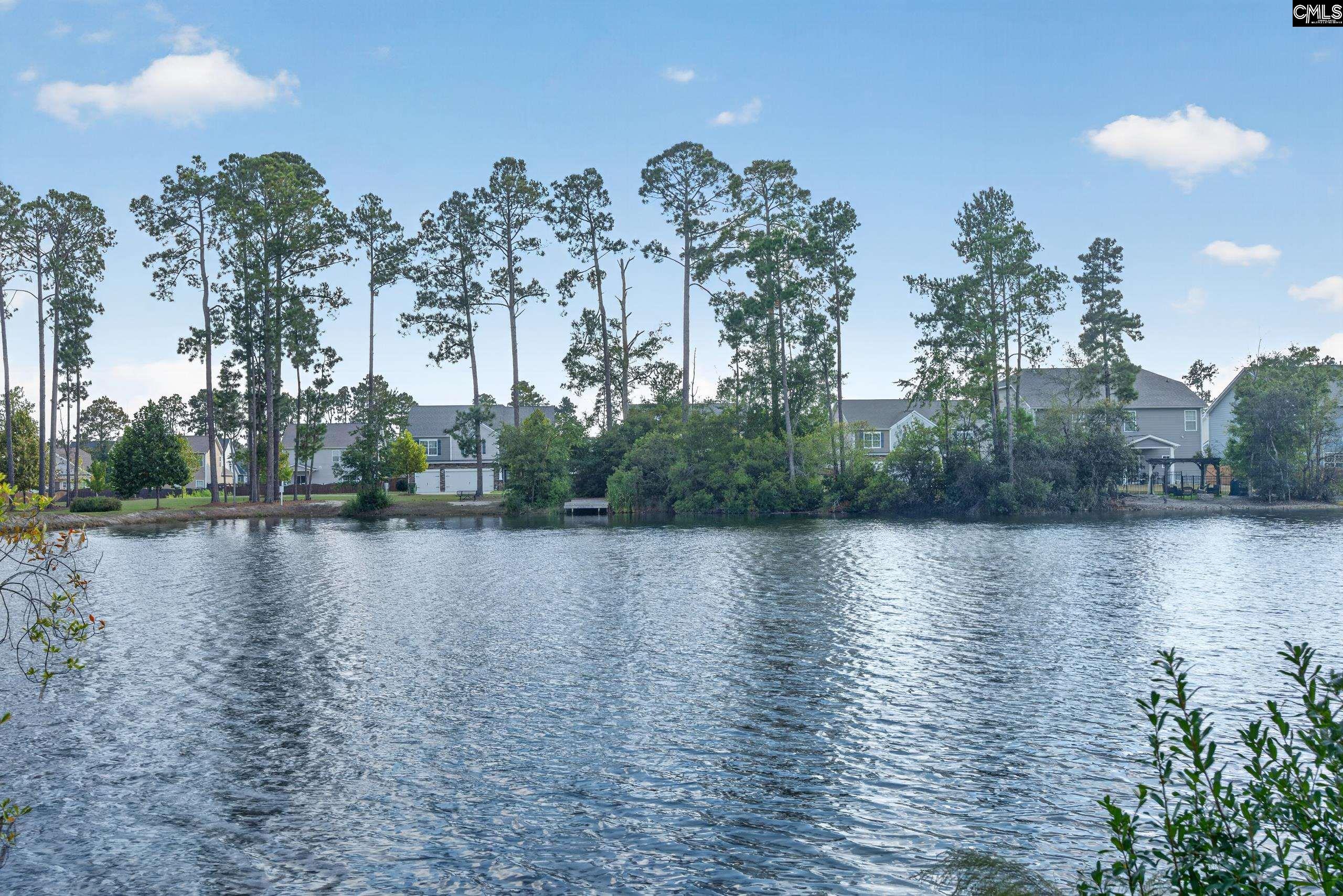 552 Rimer Pond Road, Blythewood — photo 4