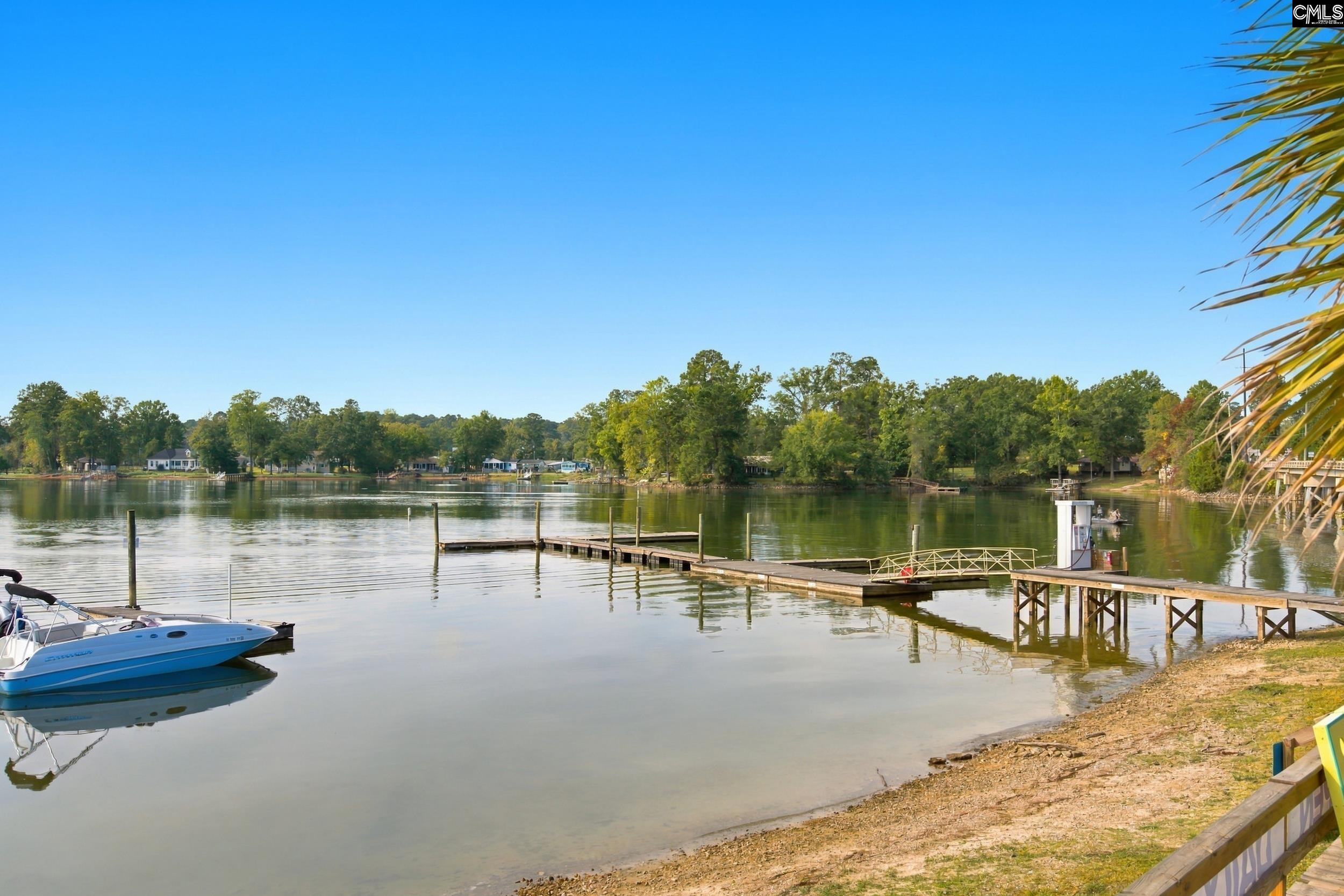 1701 Dreher Island Rd, Chapin — photo 19