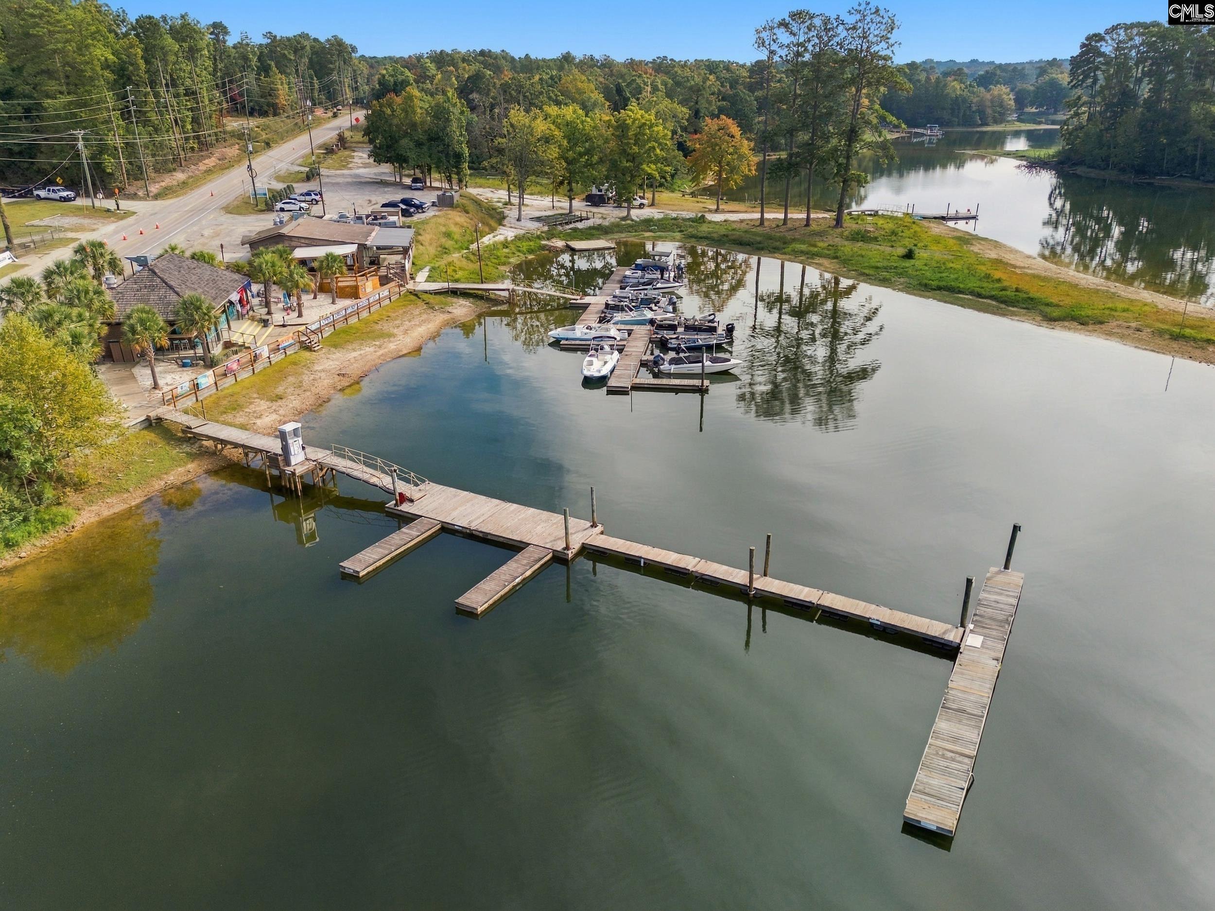 1701 Dreher Island Rd, Chapin — photo 30
