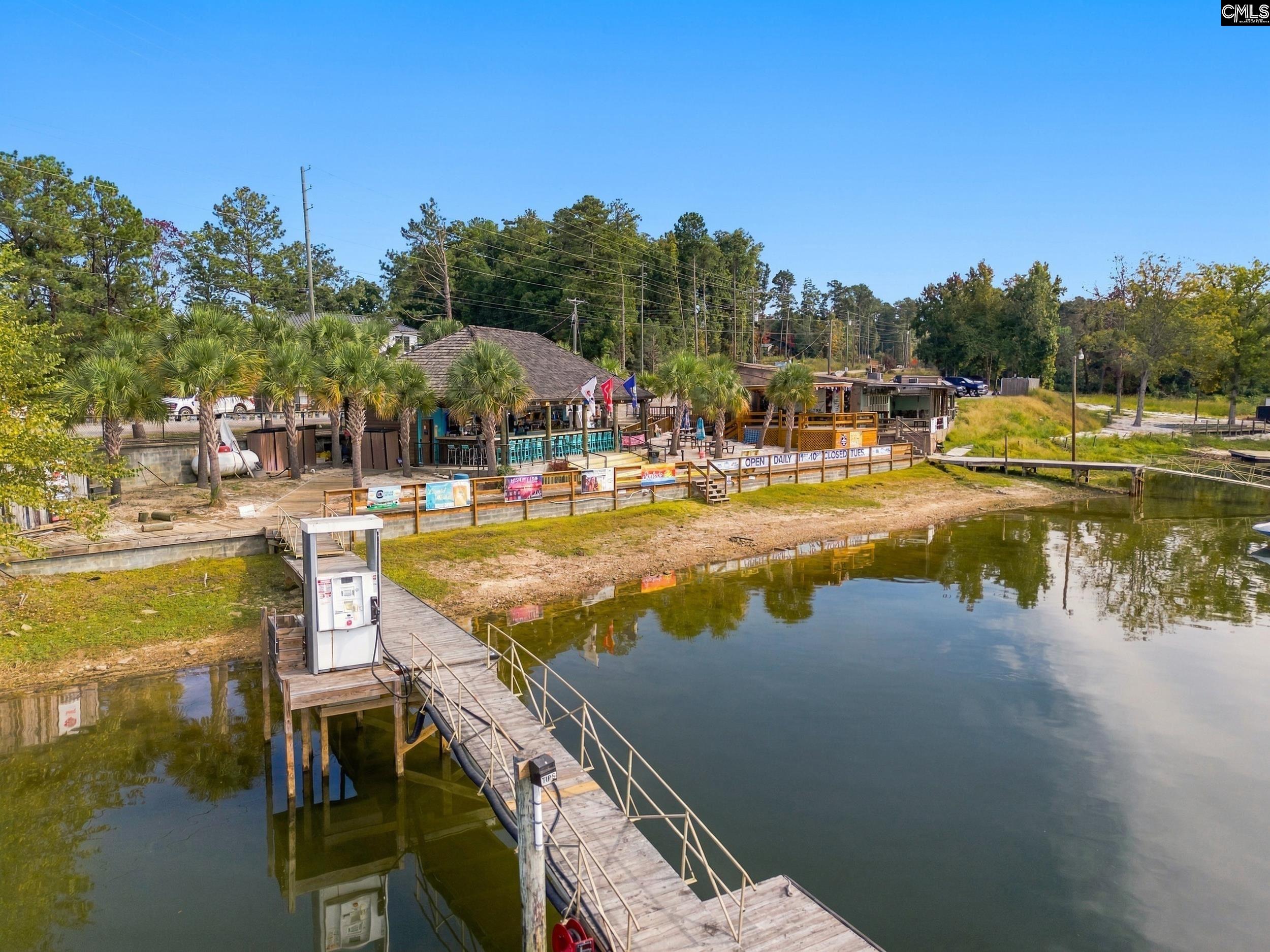 1701 Dreher Island Rd, Chapin — photo 31
