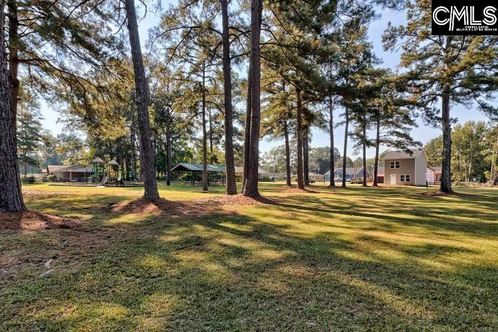 4301 Mellowood Drive, Columbia — photo 33