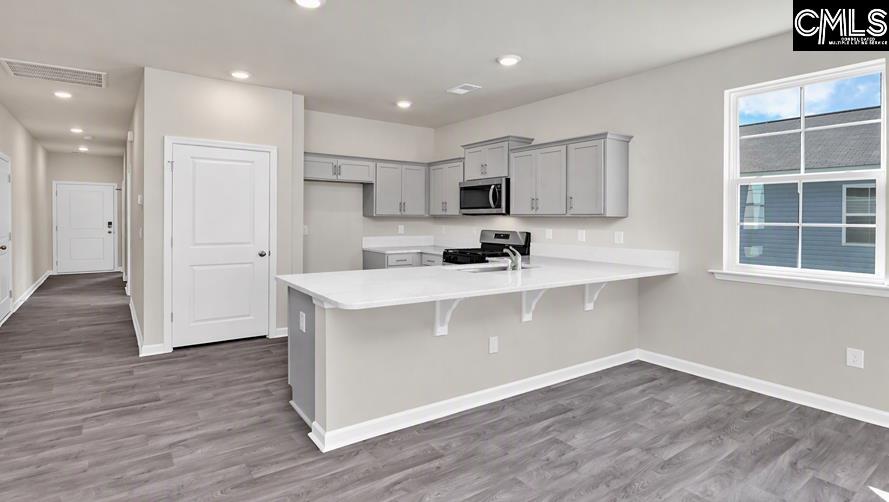 917 Snowflake Way, Lexington — photo 2