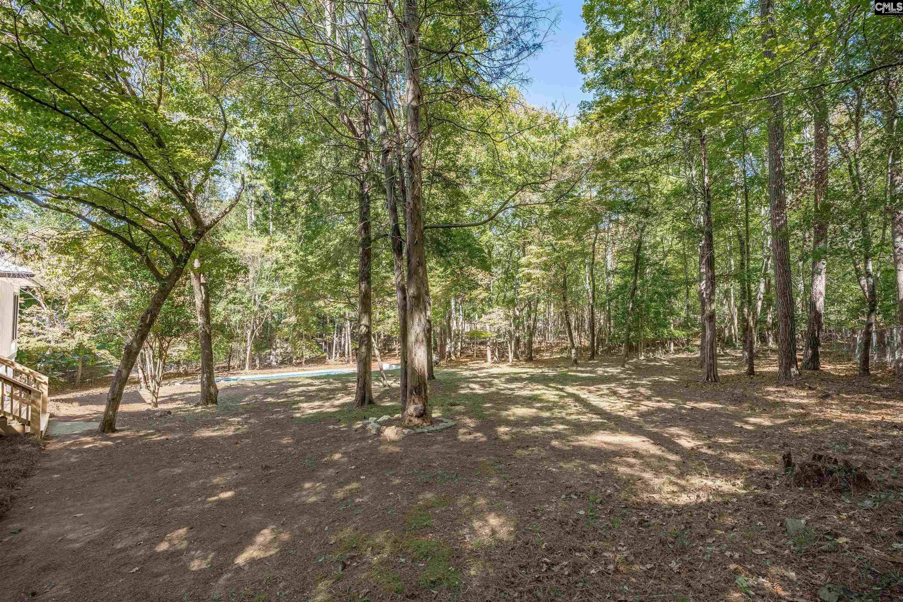 105 Deer Tract Drive, Little Mountain — photo 46