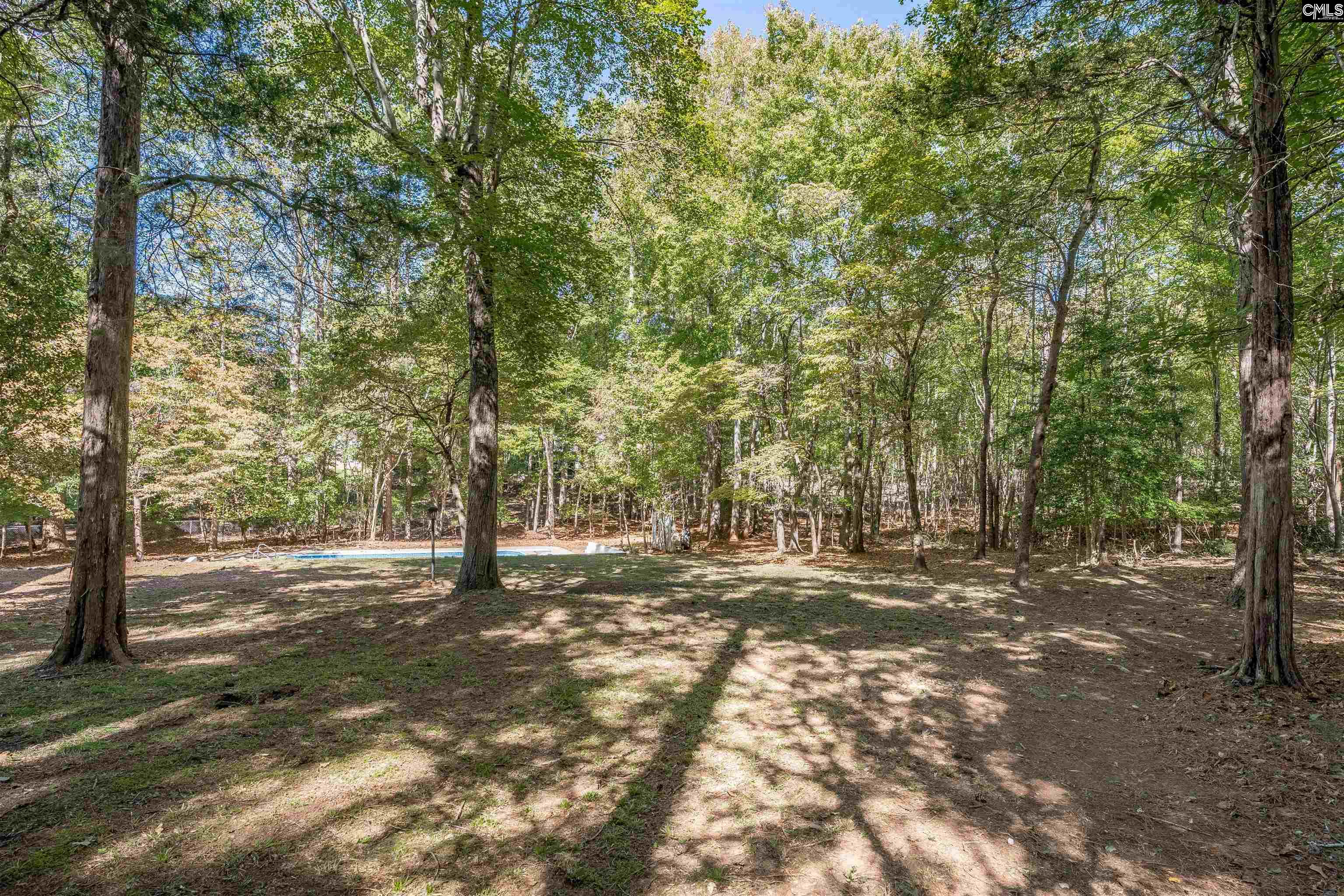 105 Deer Tract Drive, Little Mountain — photo 47