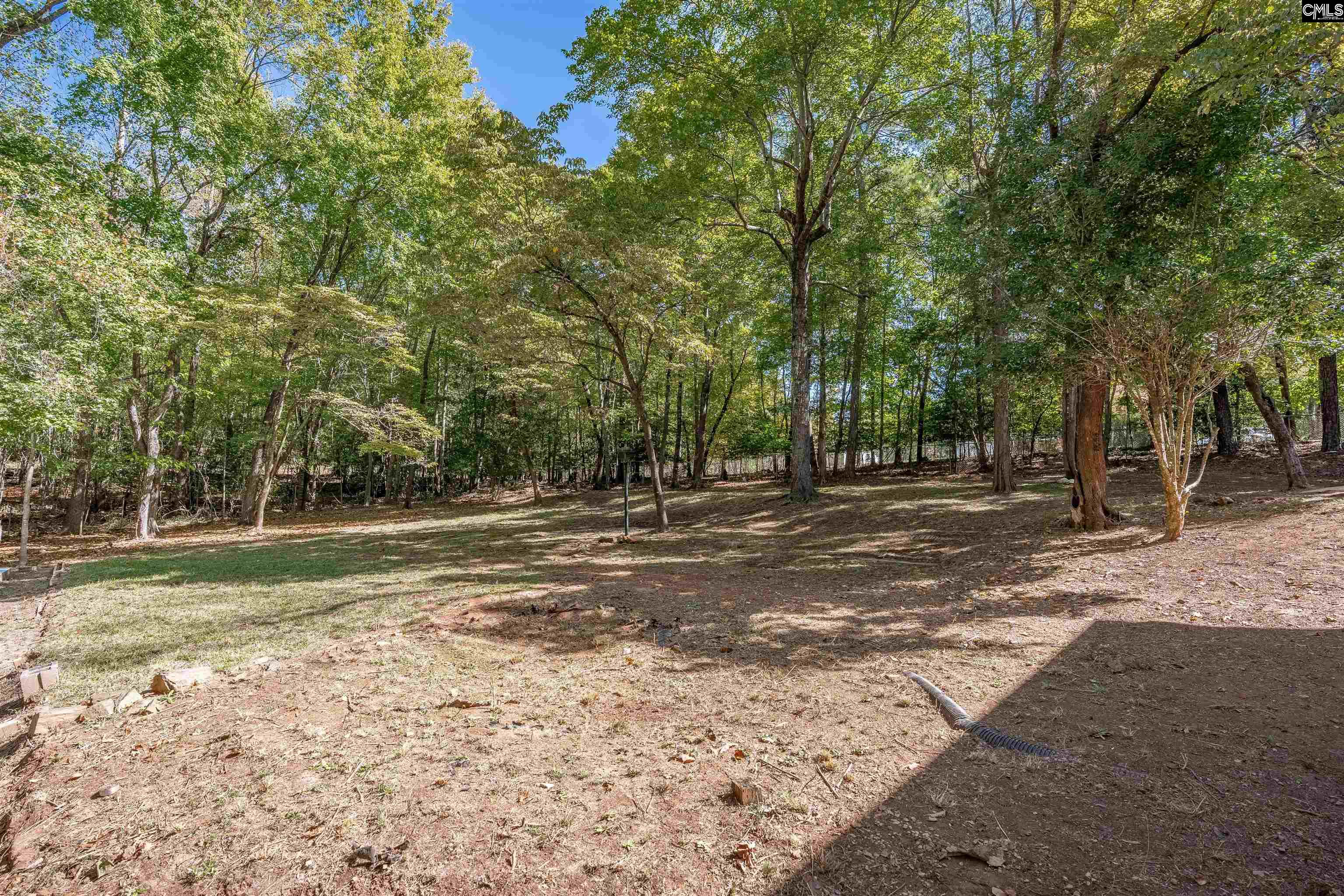 105 Deer Tract Drive, Little Mountain — photo 50