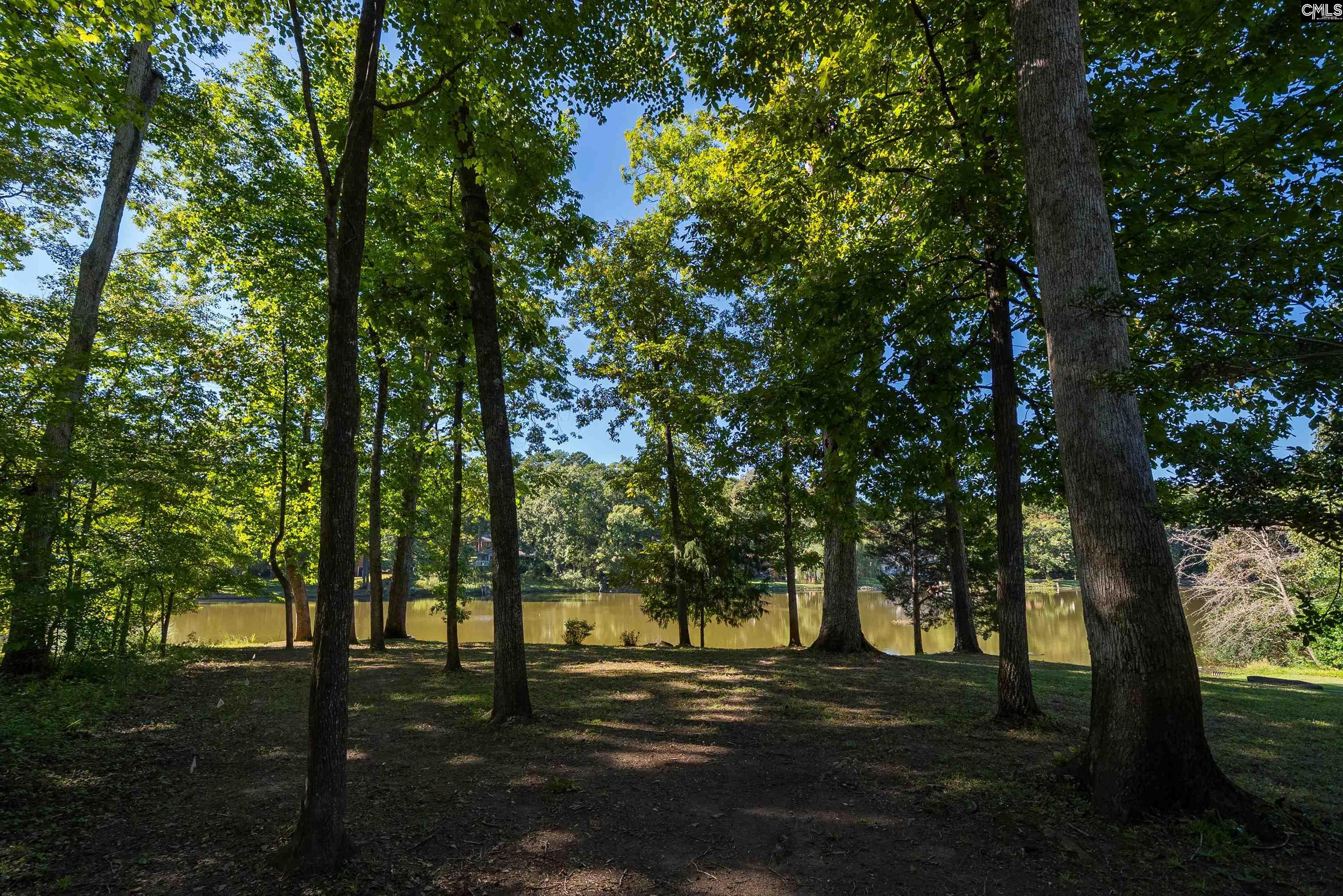 333 Hunters Blind Drive, Columbia — photo 47