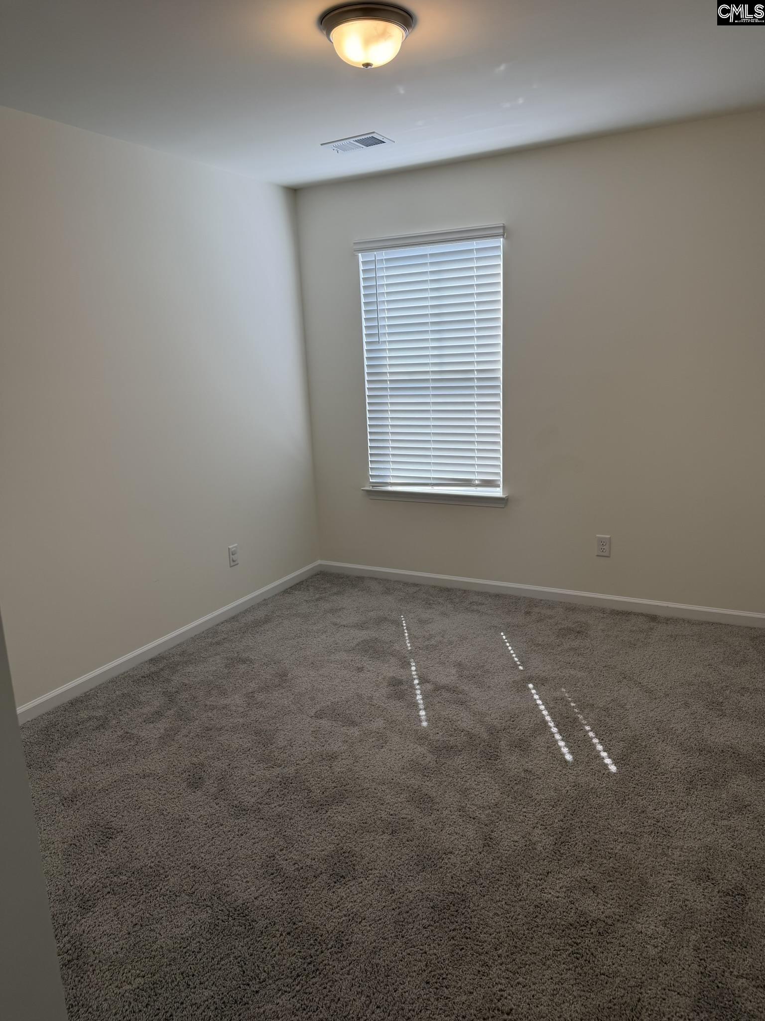 1218 WHITE CHICORY Court, Lexington — photo 15