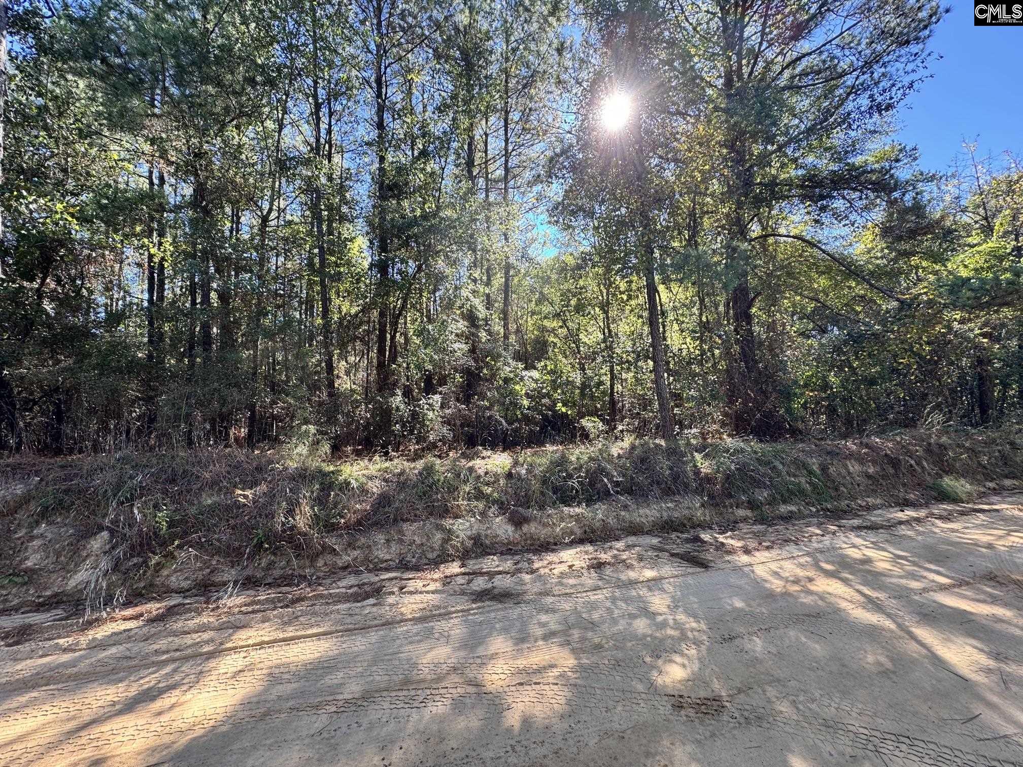 351 Camp Branch Road, Leesville — photo 3