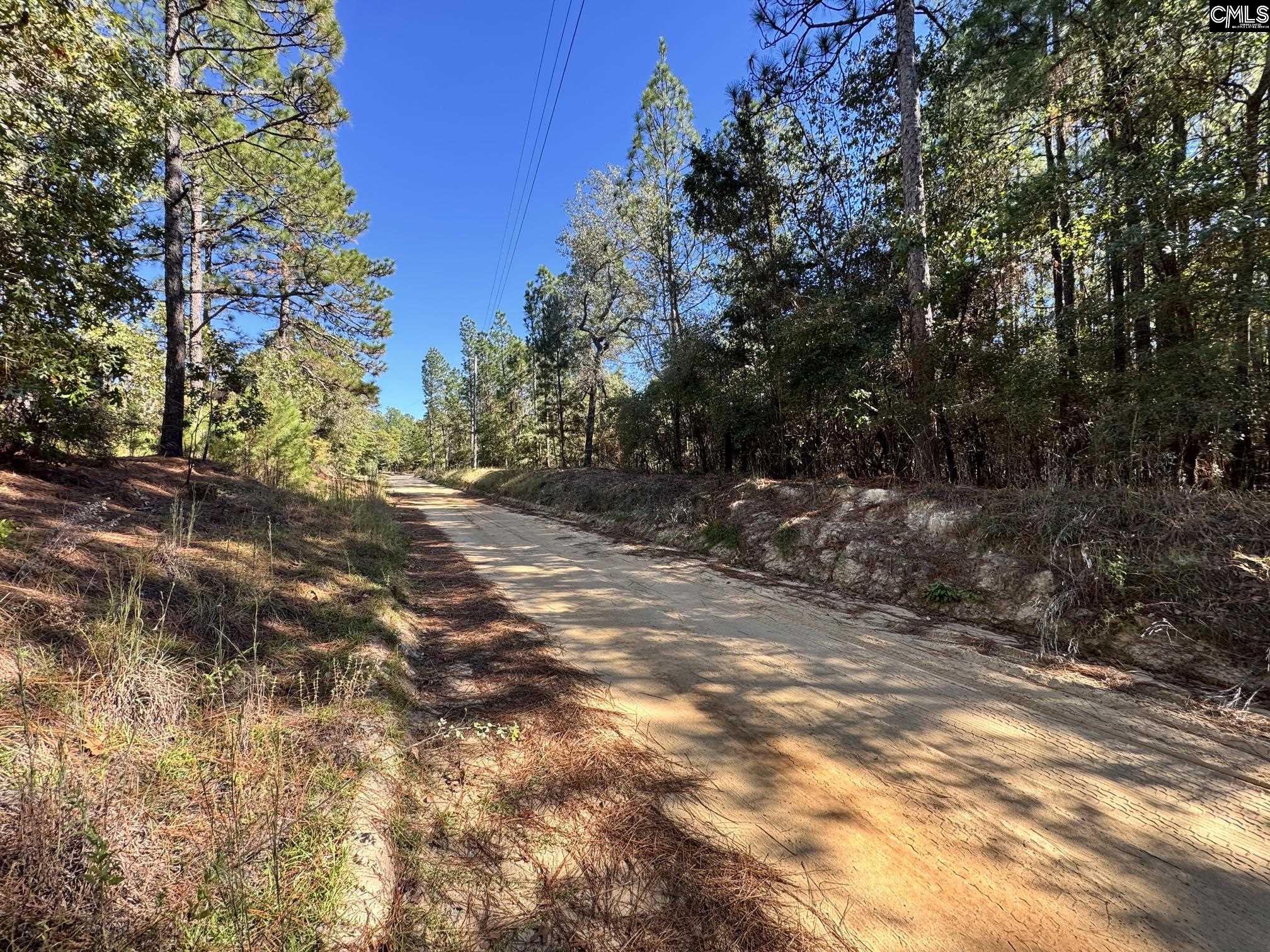 351 Camp Branch Road, Leesville — photo 4