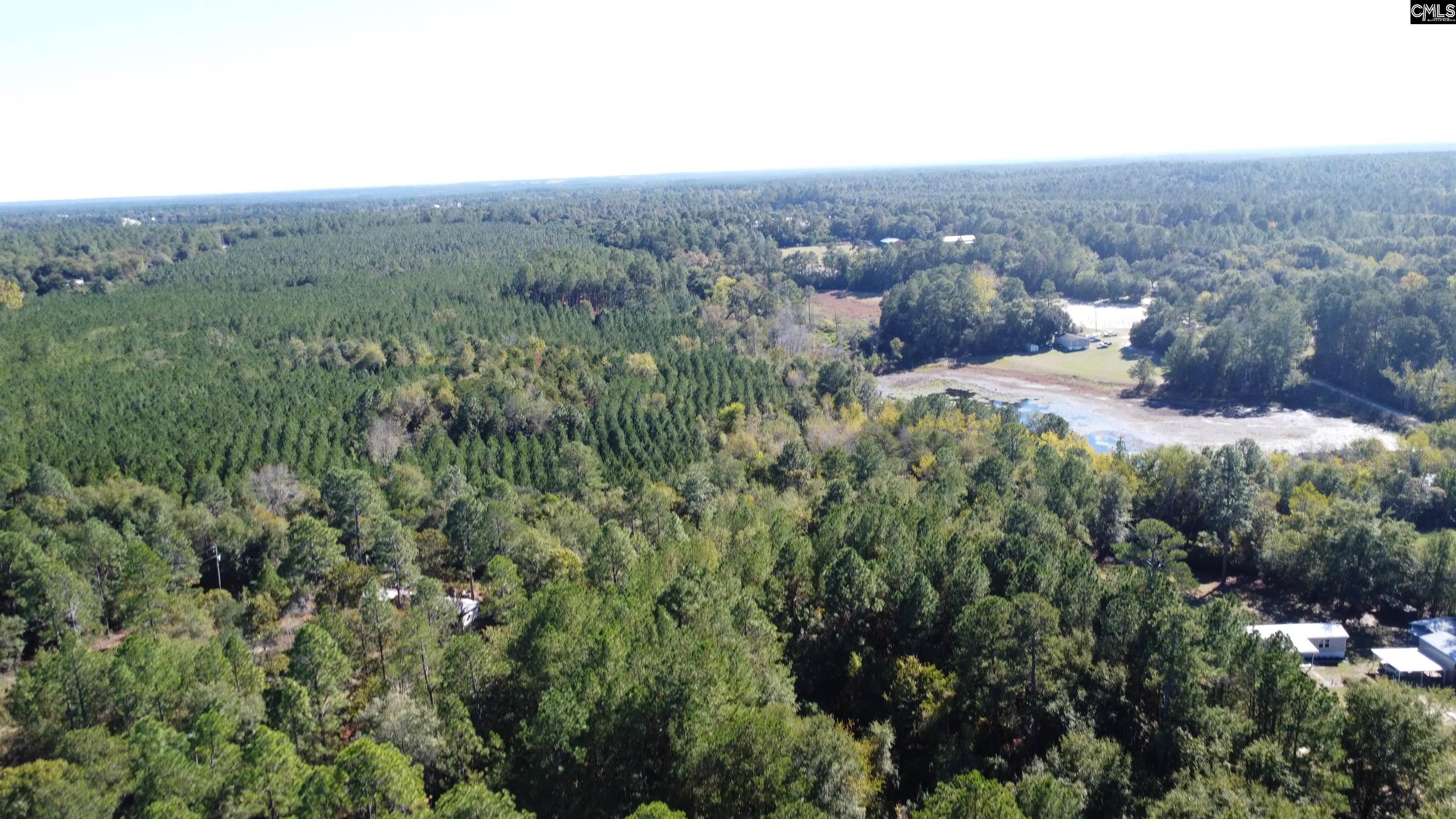 351 Camp Branch Road, Leesville — photo 8